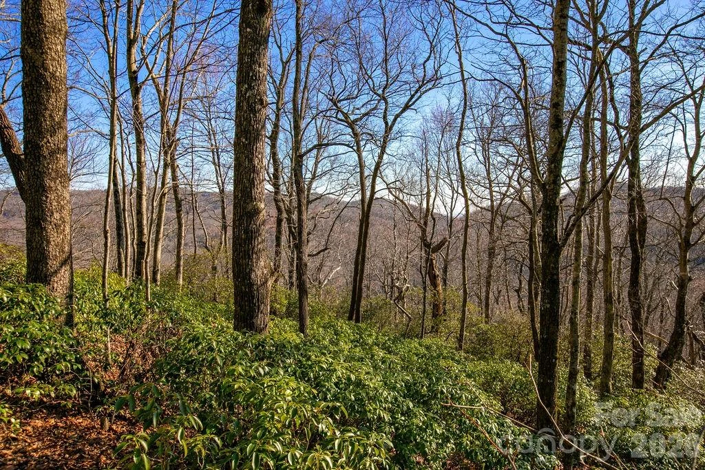 TBD Oak Ridge Road #17