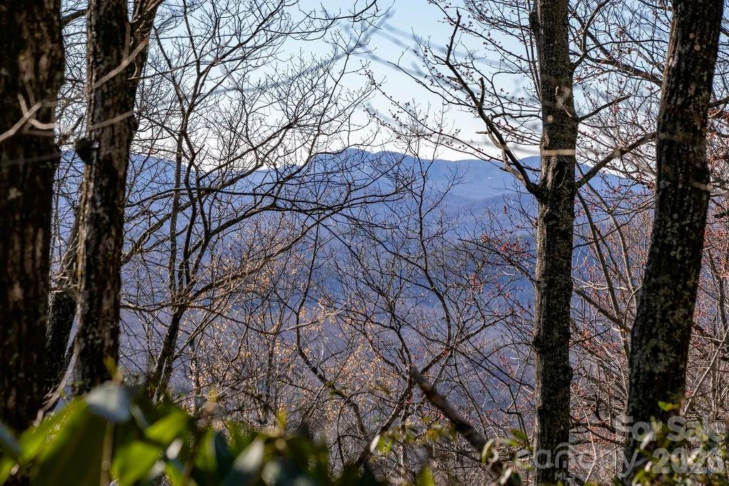 TBD Oak Ridge Road #17 - Photo 8