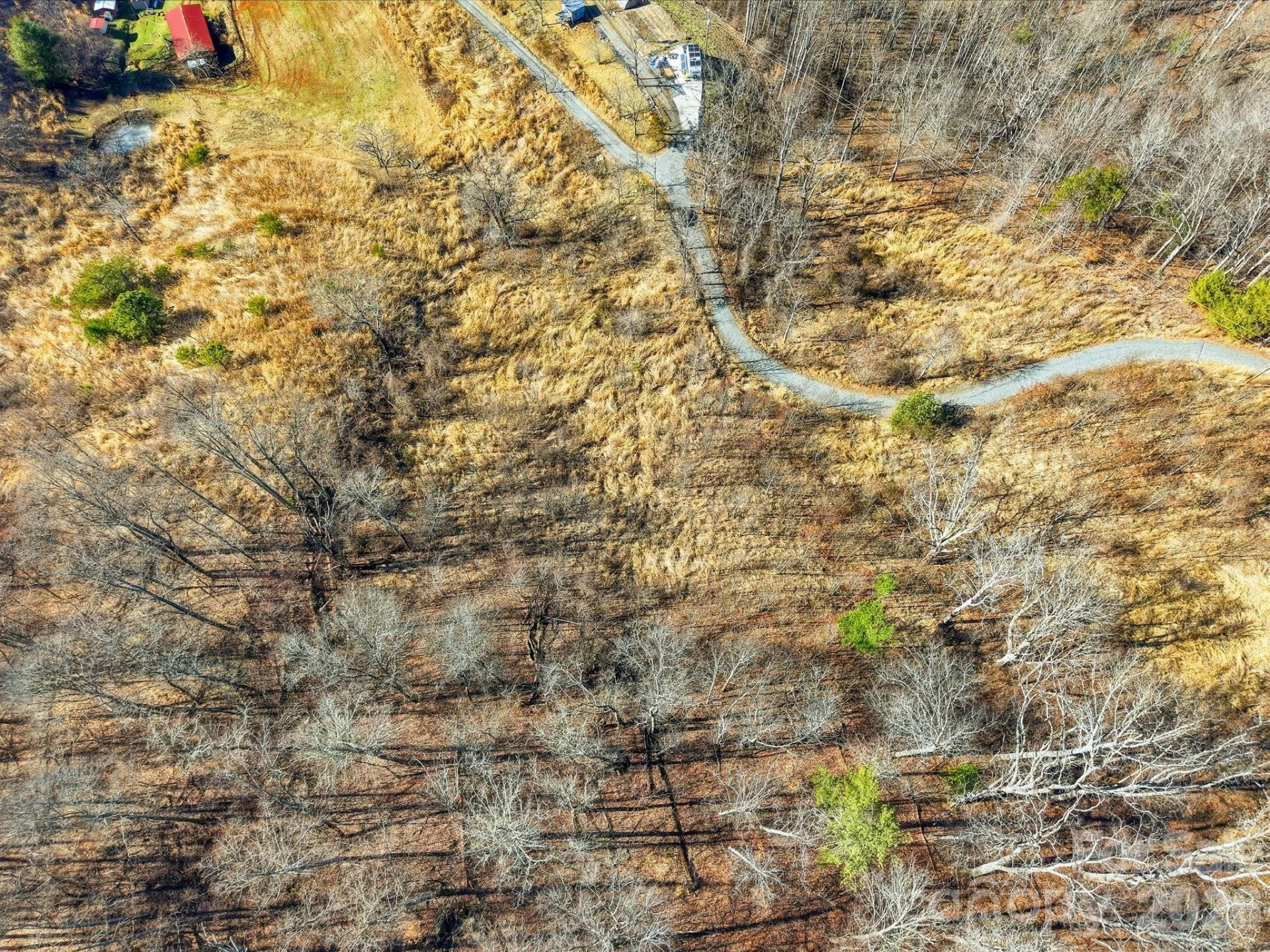 99999 Morgan Branch Road - Photo 11