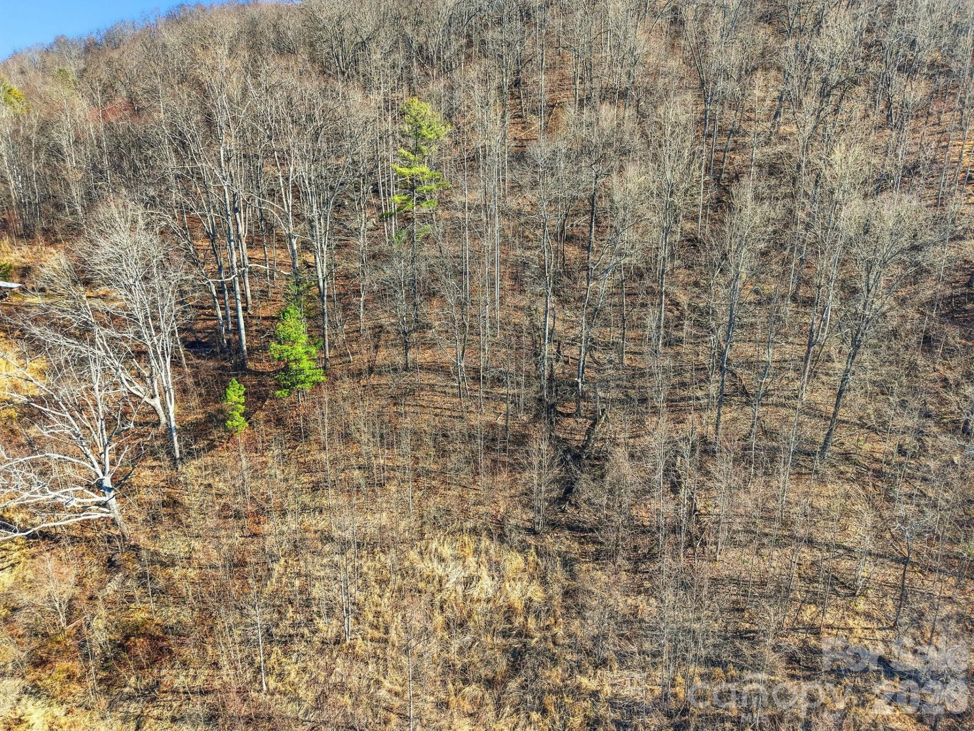 99999 Morgan Branch Road - Photo 12