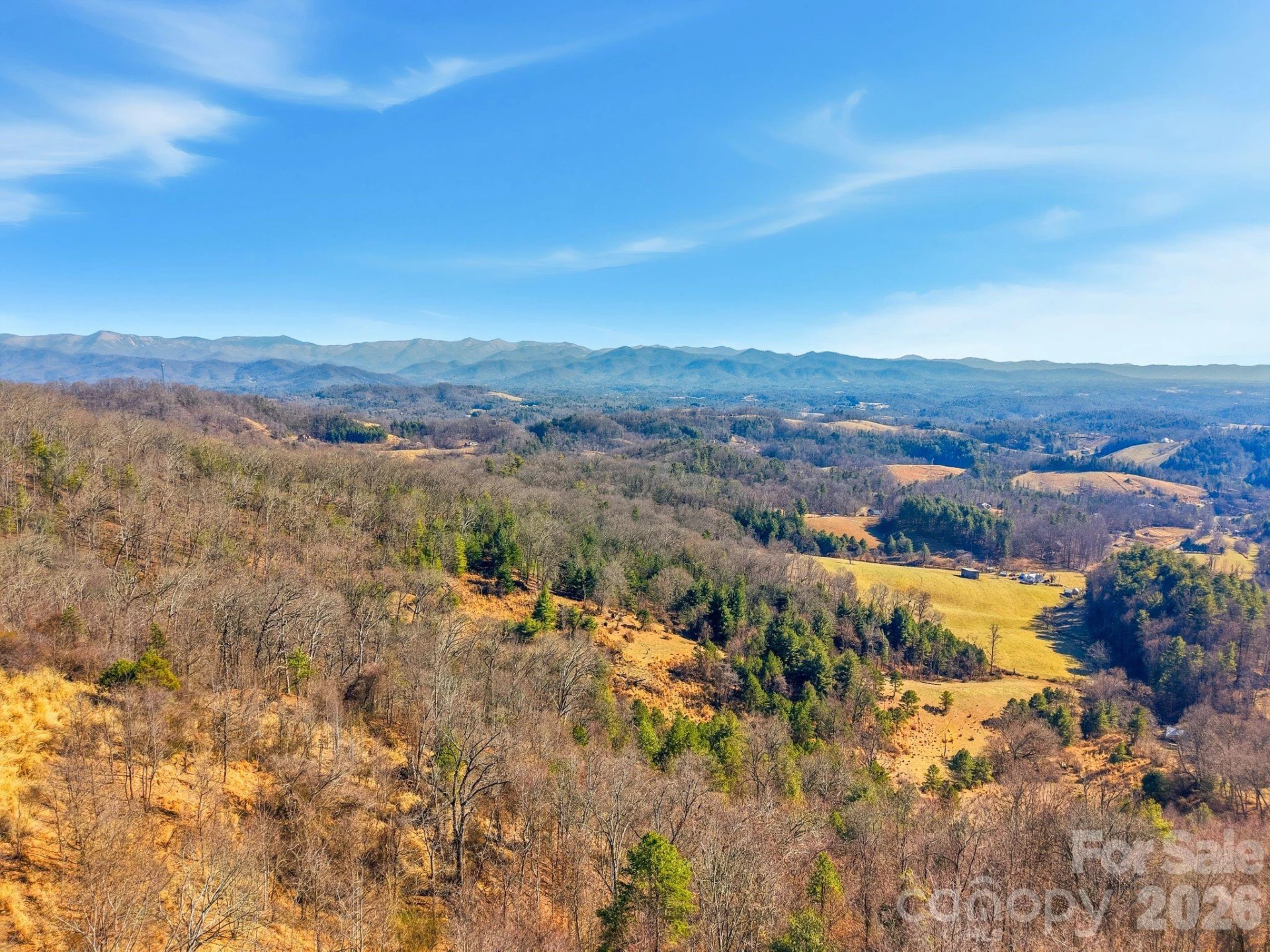 99999 Morgan Branch Road - Photo 7