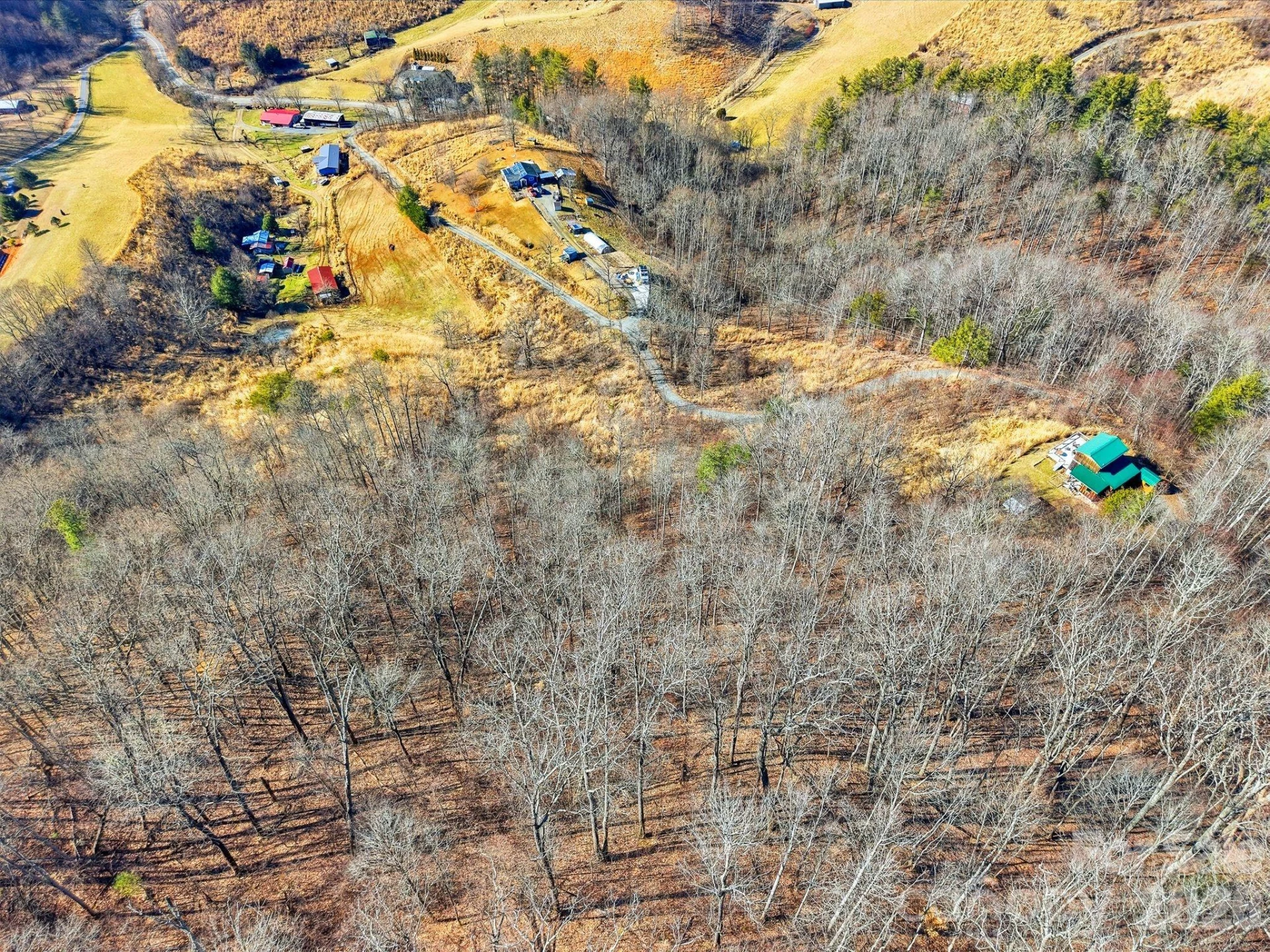 99999 Morgan Branch Road - Photo 10