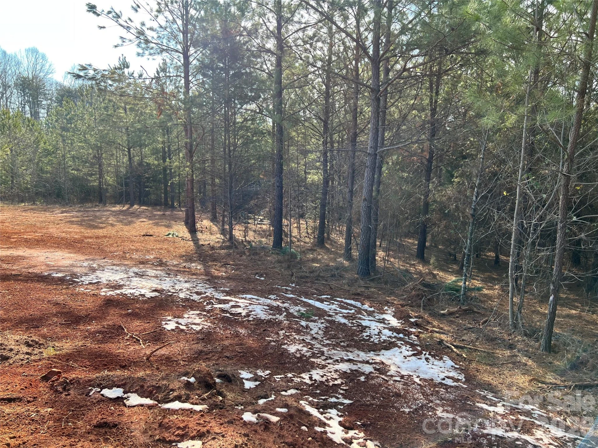1229 Centennial Road - Photo 4