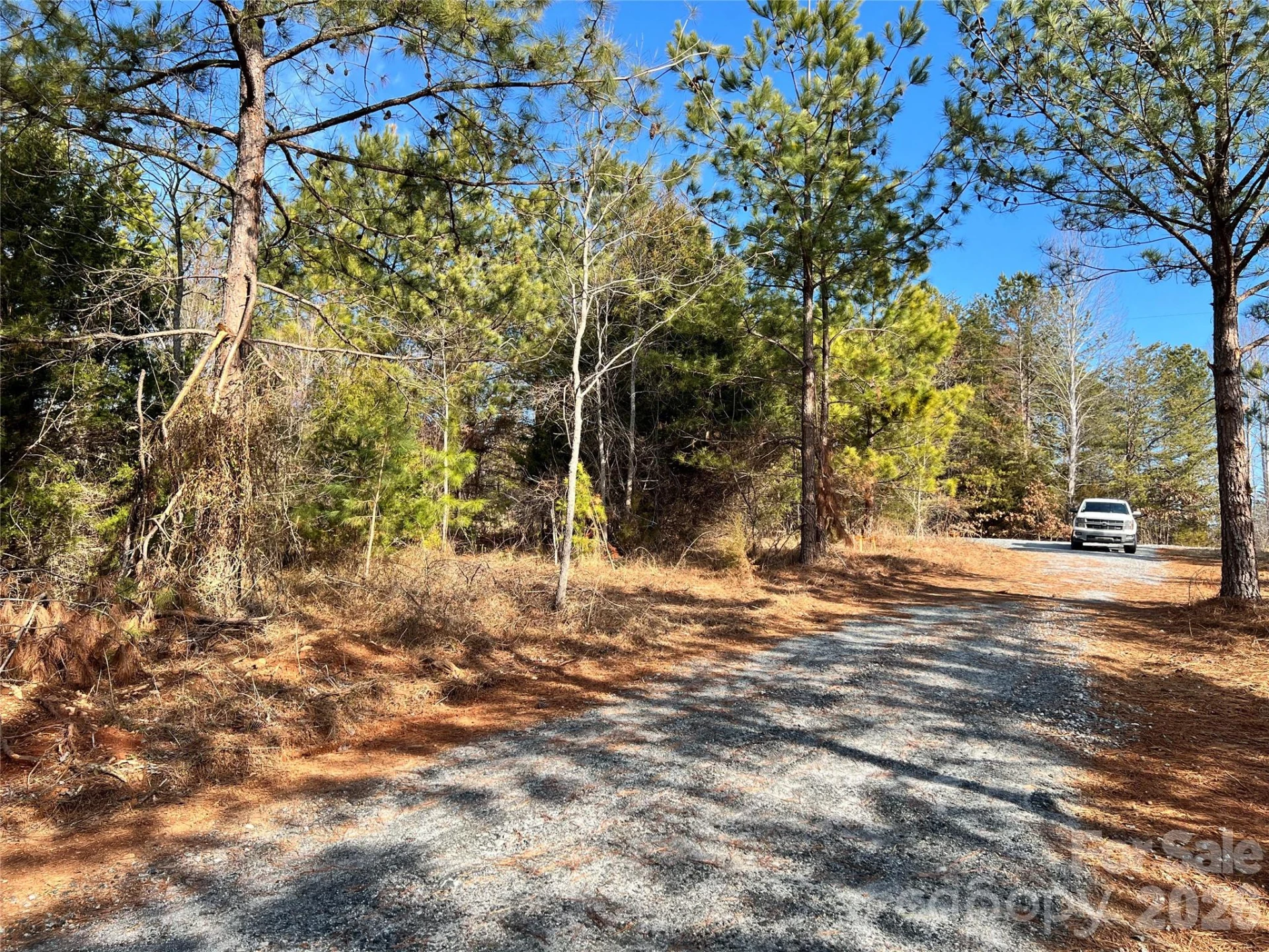 1229 Centennial Road - Photo 9