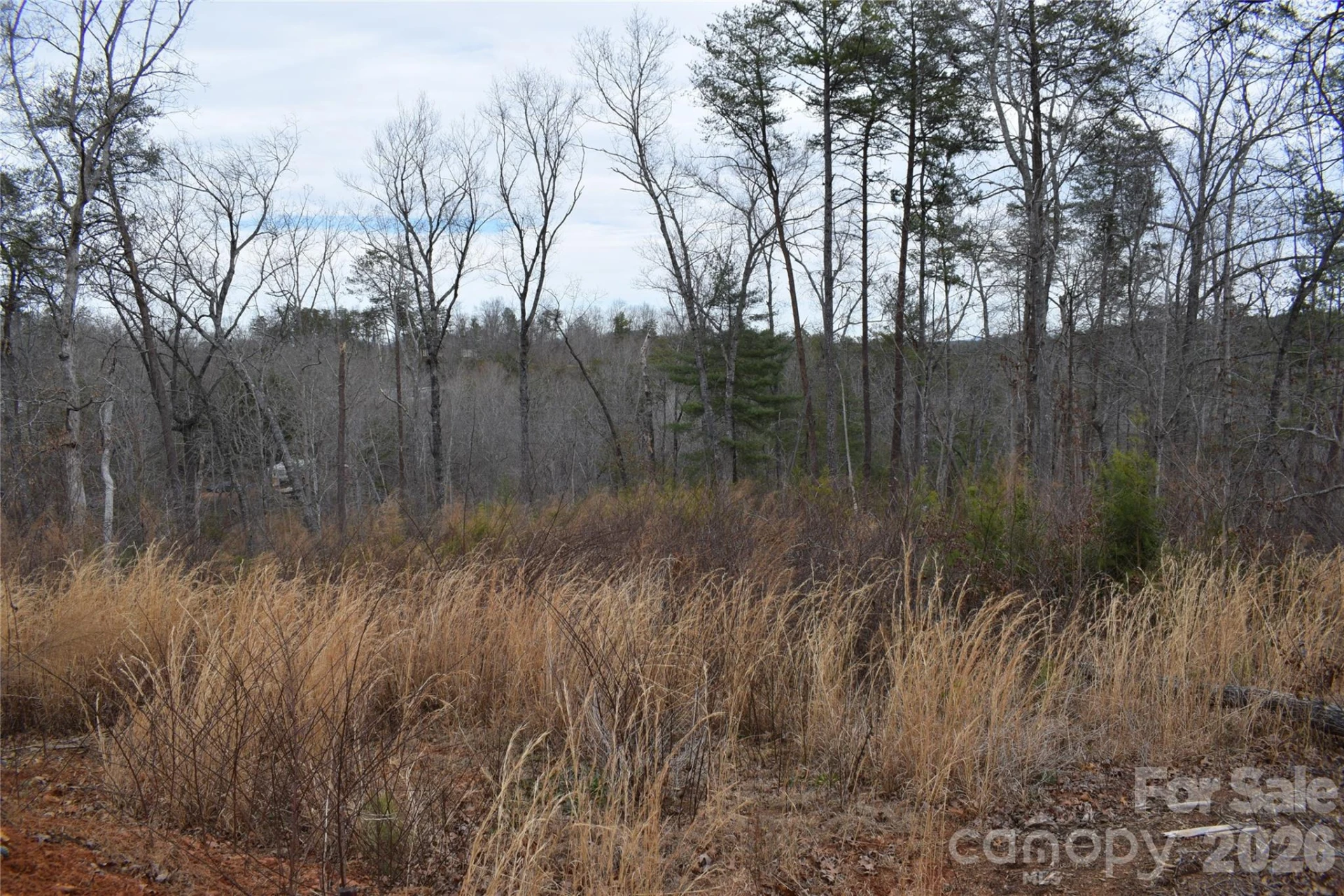 172 Winter Lane - Photo 11