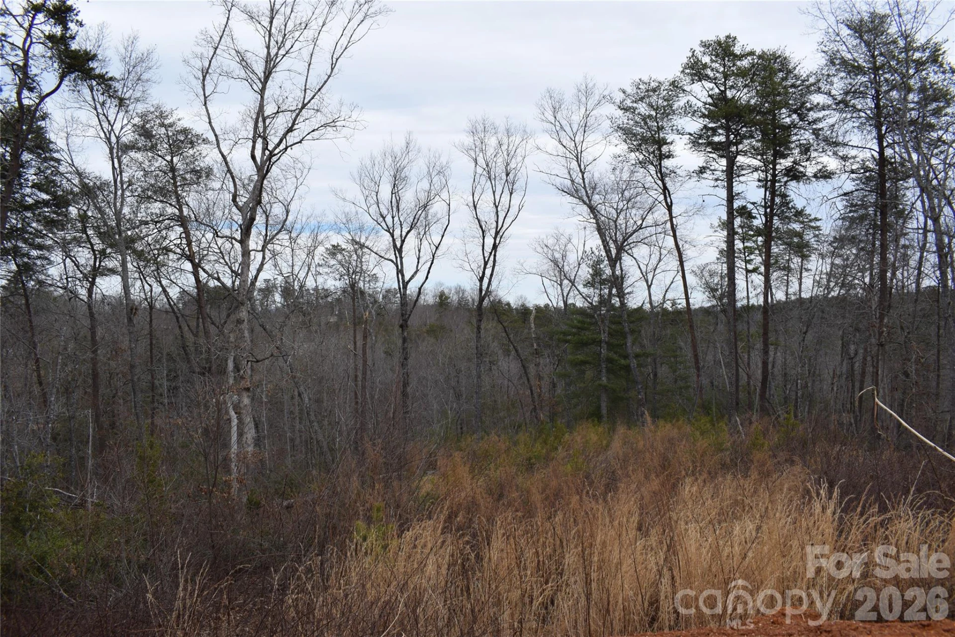 172 Winter Lane - Photo 12