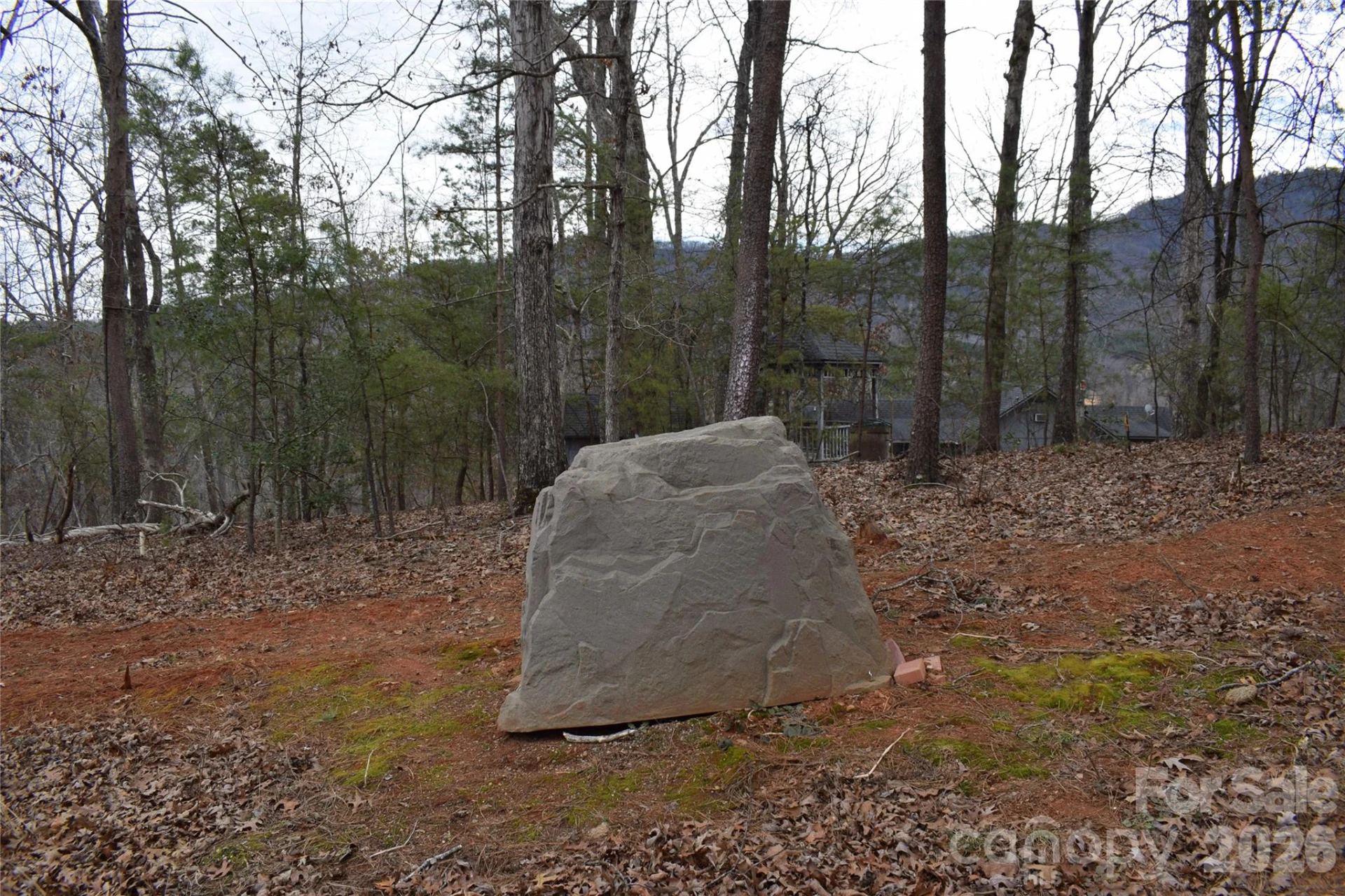 172 Winter Lane - Photo 8