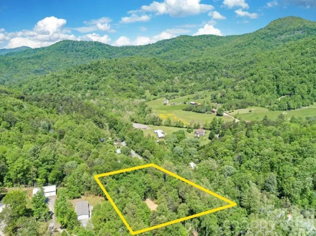 1127 Bee Tree Road, Swannanoa, NC, 28778