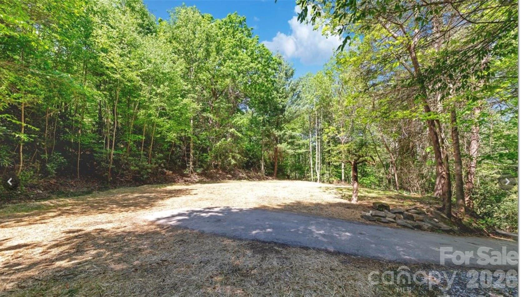 1127 Bee Tree Road - Photo 5