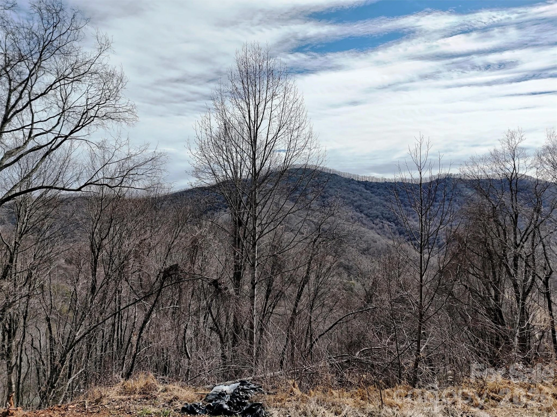 TBD Rock Ridge Road #9A & 9B - Photo 13