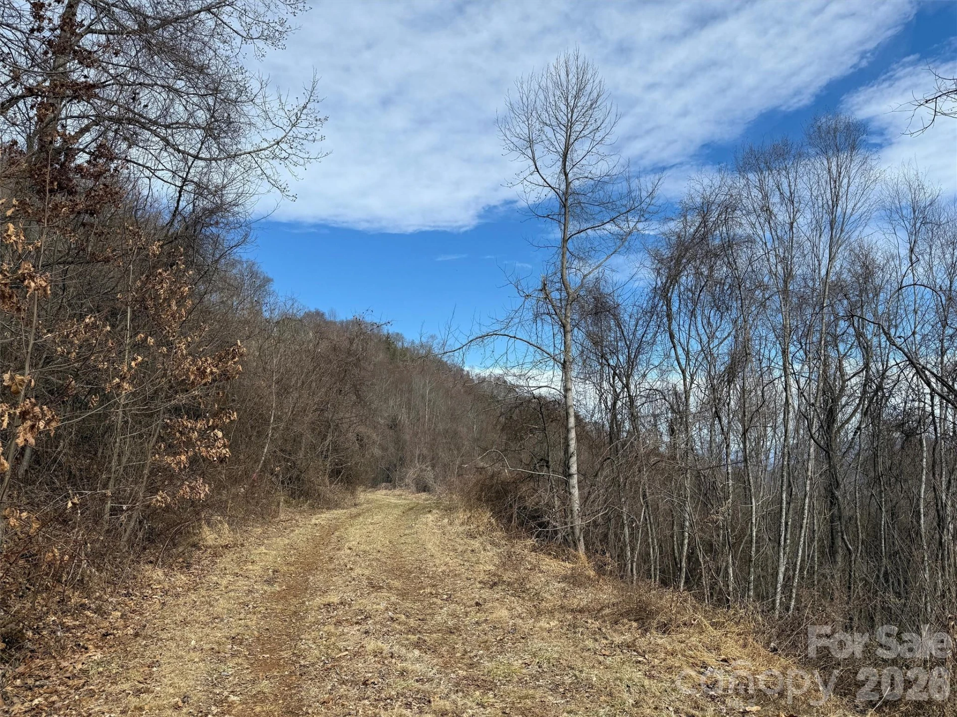 TBD Rock Ridge Road #9A & 9B - Photo 16