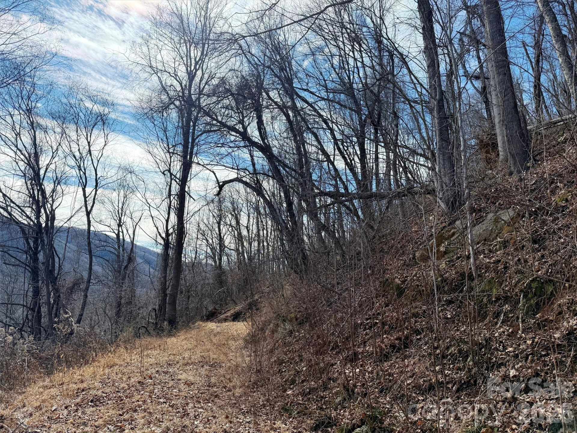 TBD Rock Ridge Road #9A & 9B - Photo 22