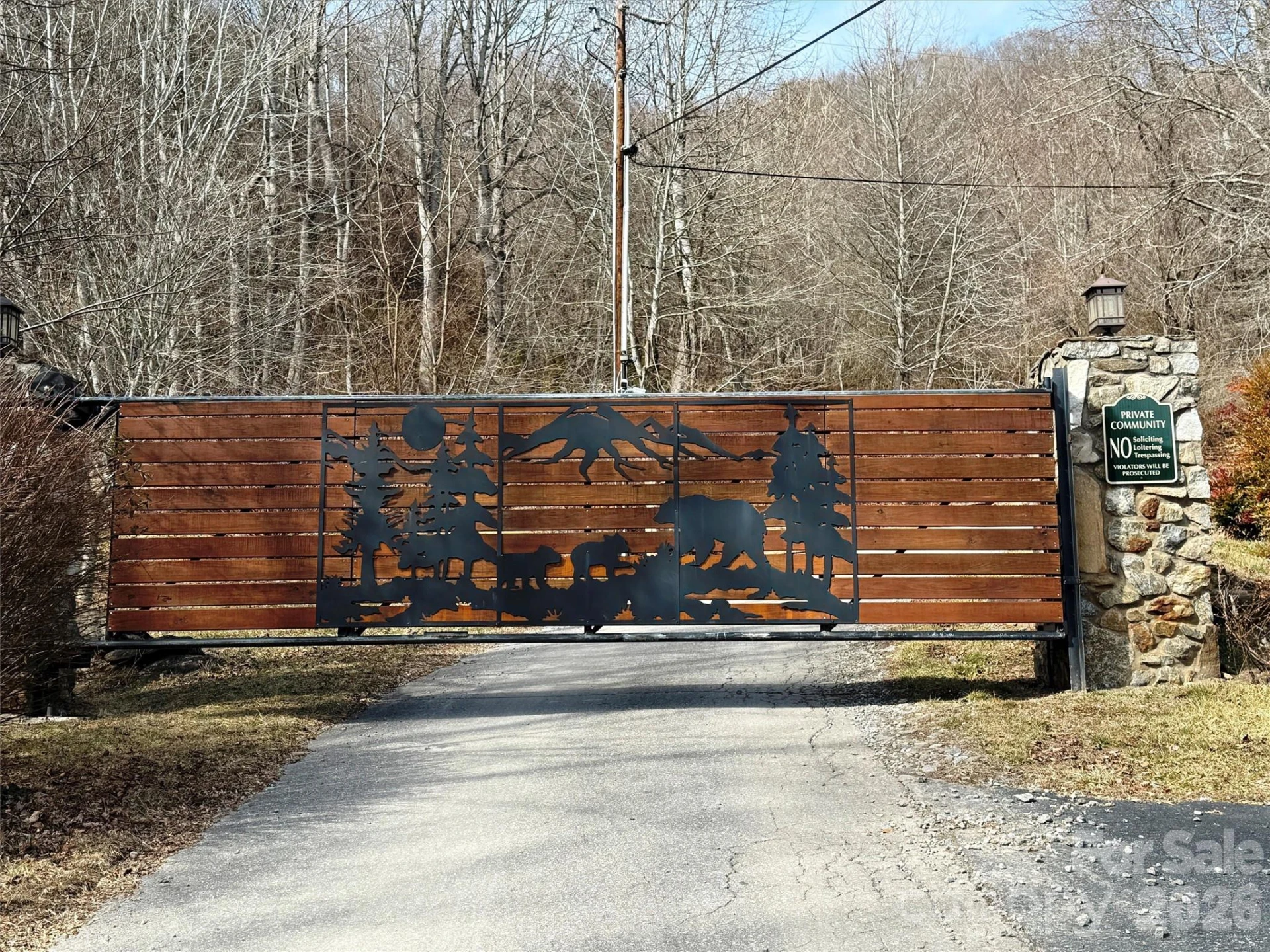 TBD Rock Ridge Road #9A & 9B - Photo 30