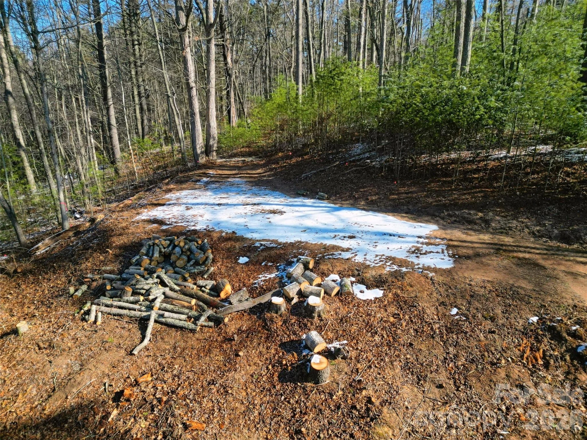 3 Dream Valley Drive #3 - Photo 12