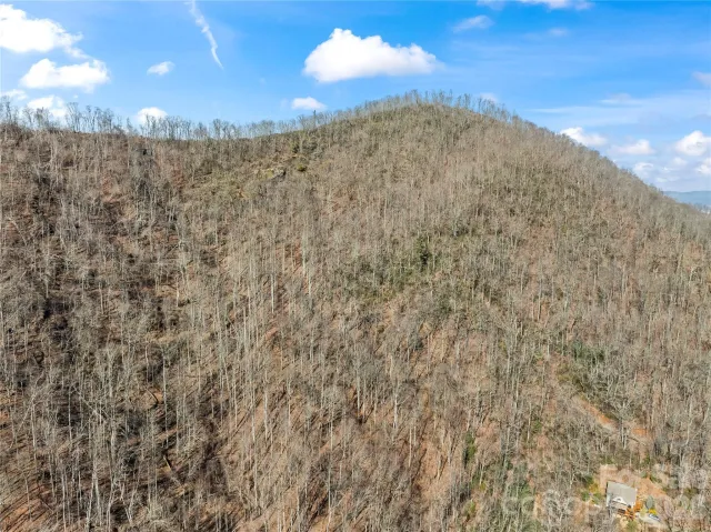31 Reillys Bluff Road, Barnardsville, NC, 28709