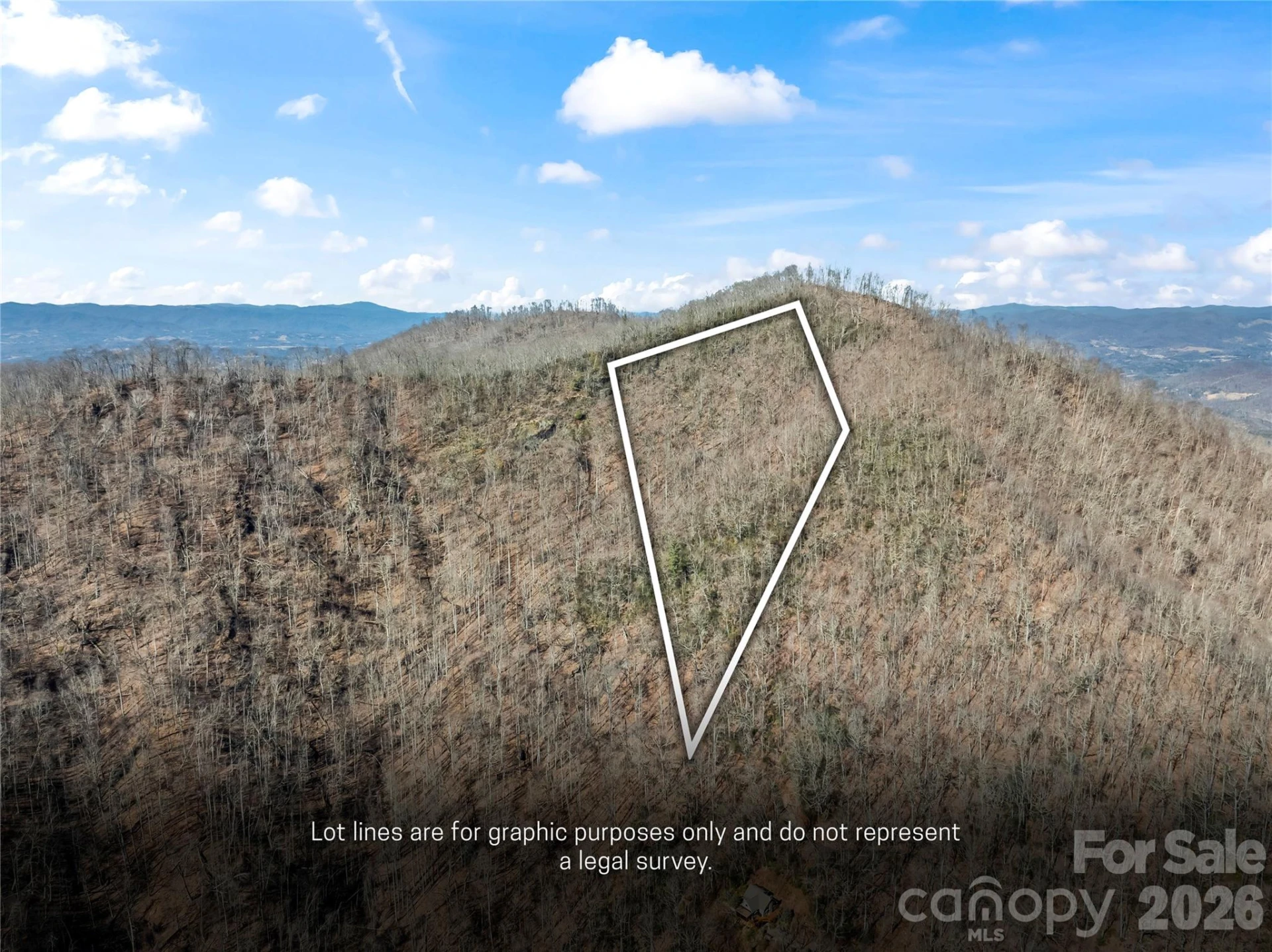 31 Reillys Bluff Road #2 - Photo 2