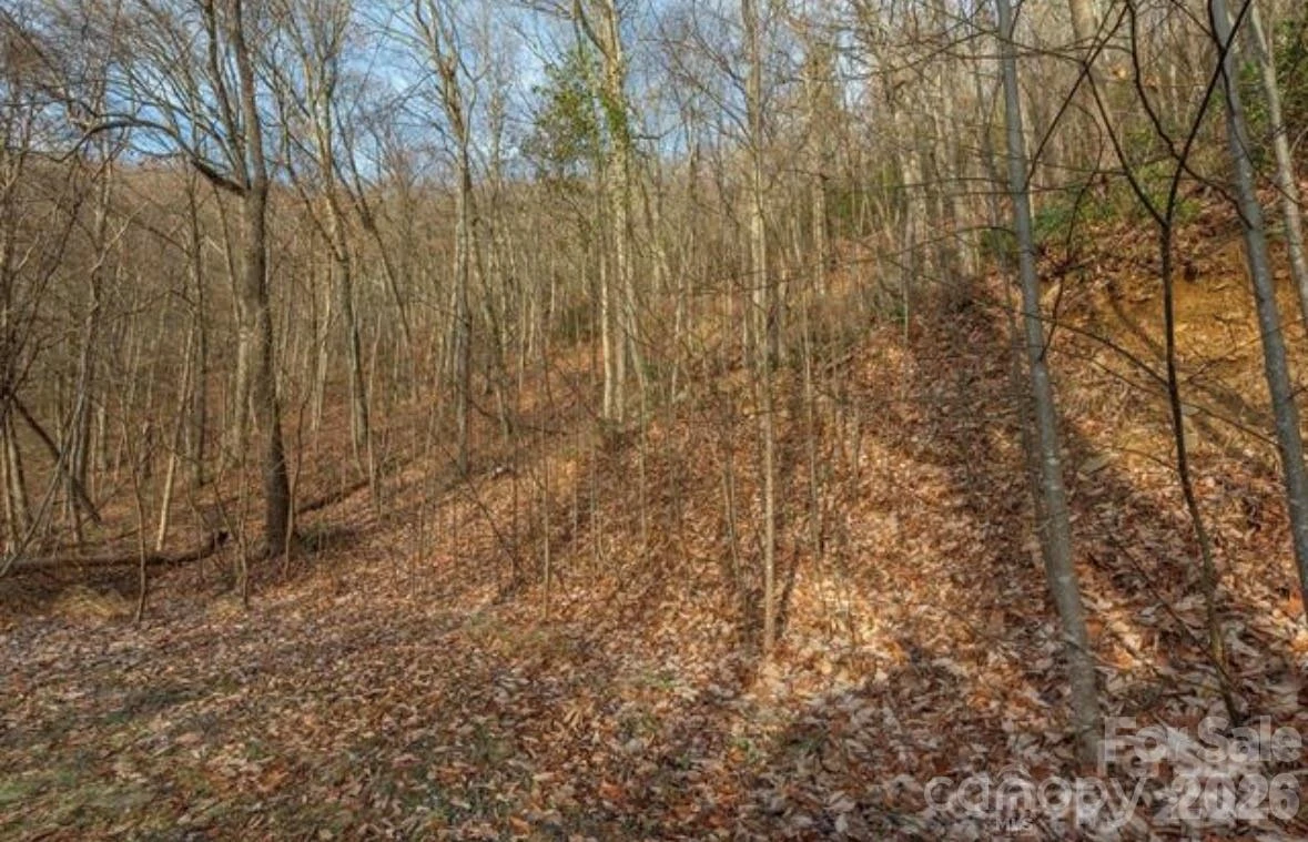 31 Reillys Bluff Road #2 - Photo 4