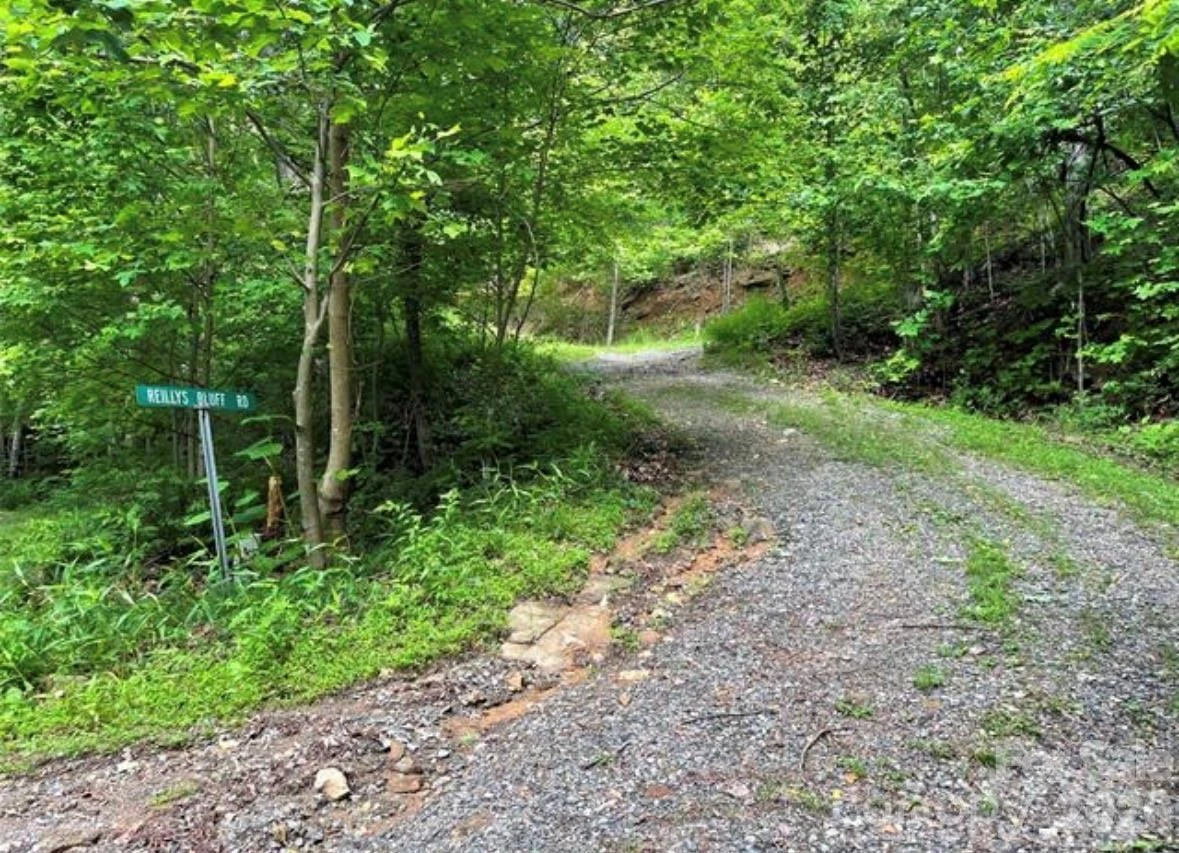 31 Reillys Bluff Road #2 - Photo 3