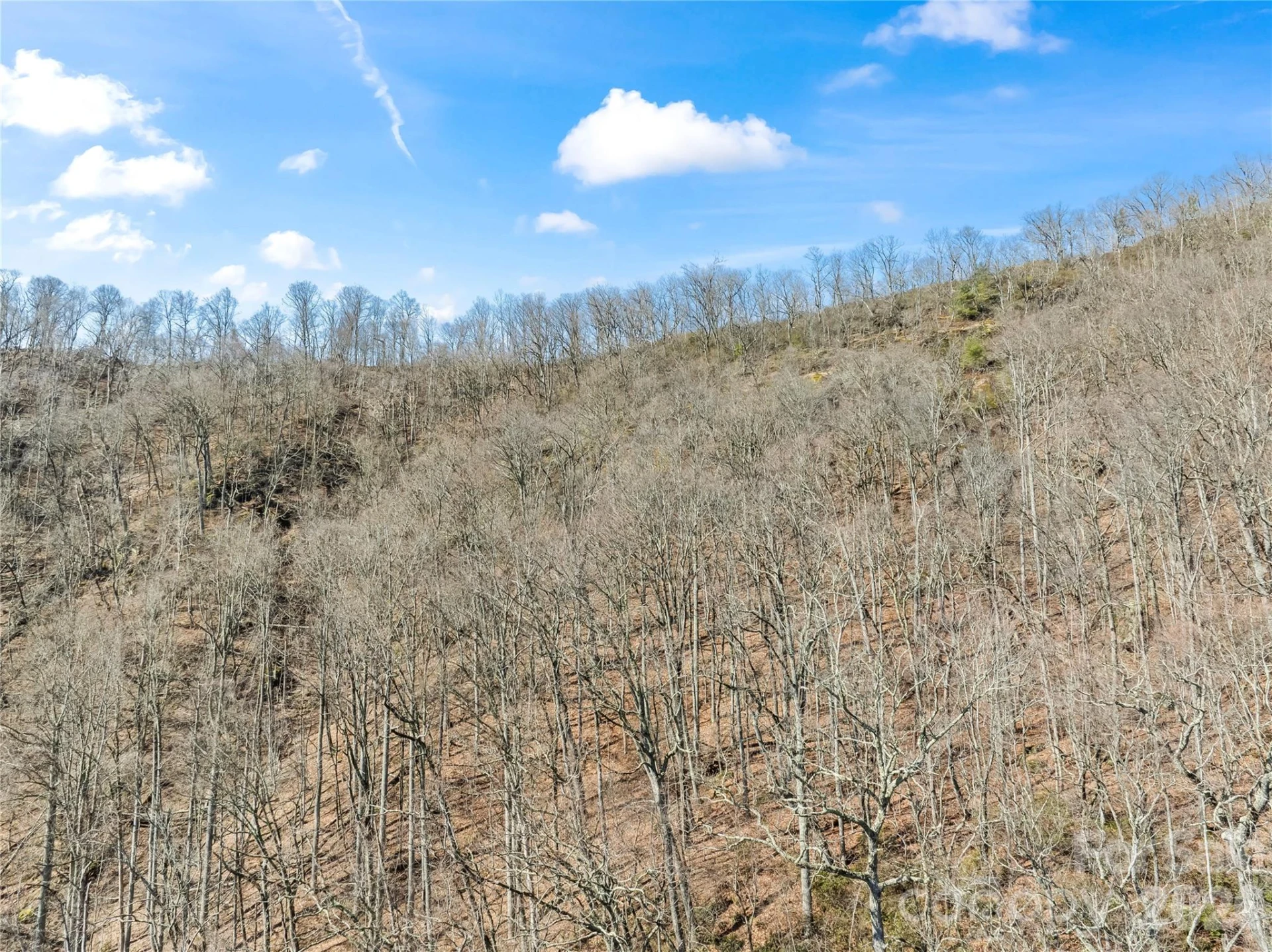 31 Reillys Bluff Road #2 - Photo 8