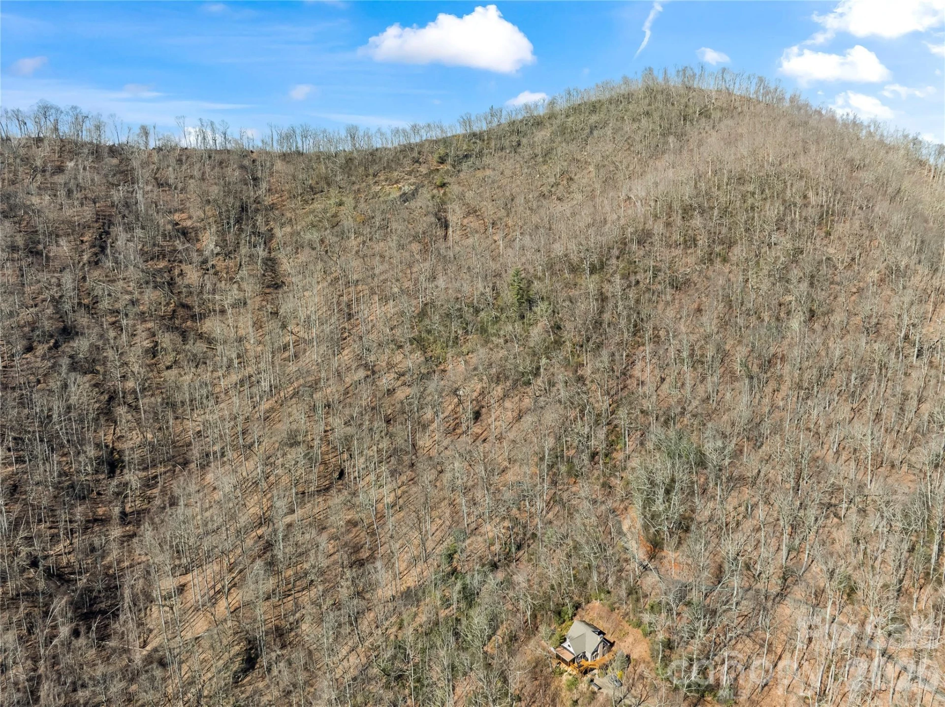 31 Reillys Bluff Road #2 - Photo 9