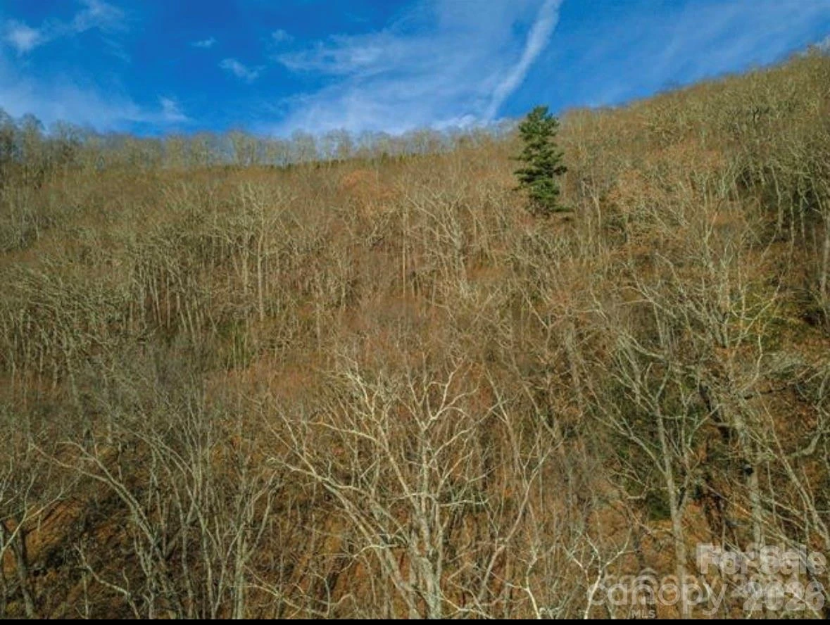 31 Reillys Bluff Road #2 - Photo 11
