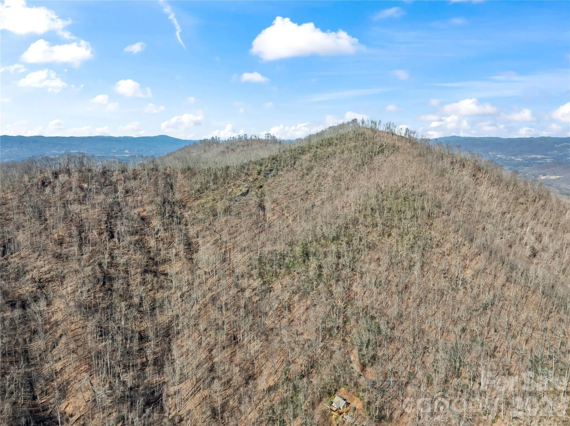 31 Reillys Bluff Road #2 - Photo 6