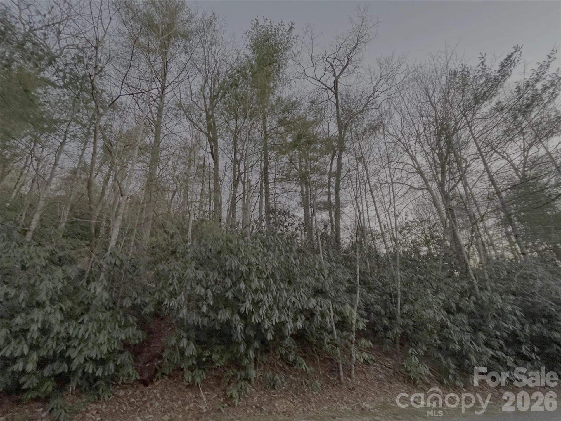 742 Zelda Court #71 - Photo 2