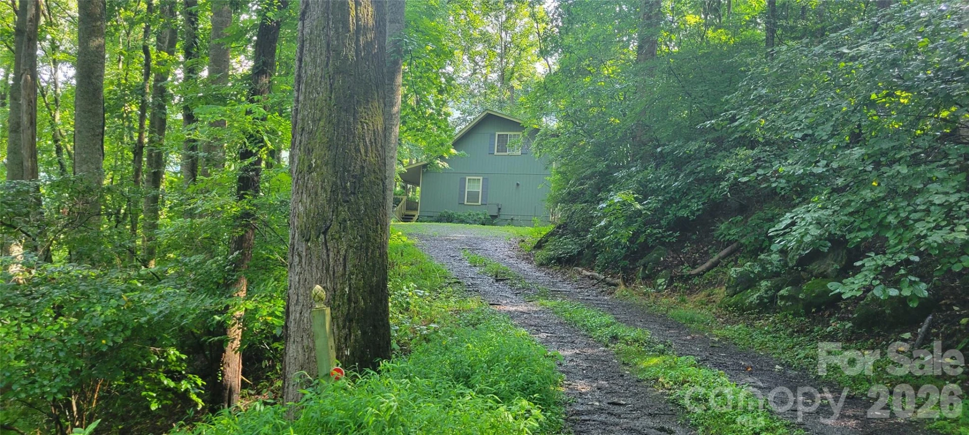 445 Allison Drive - Photo 5