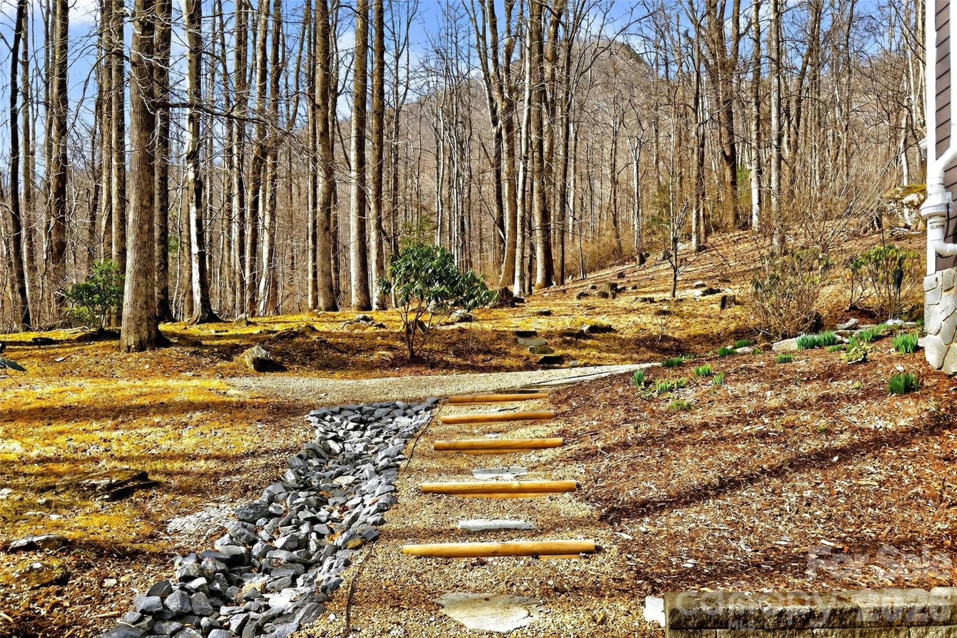 219 Catawba Drive - Photo 46