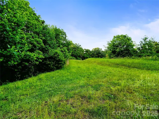 99999 Bear Creek Road