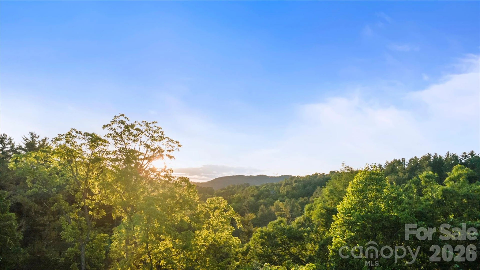99999 Bear Creek Road #38 - Photo 13