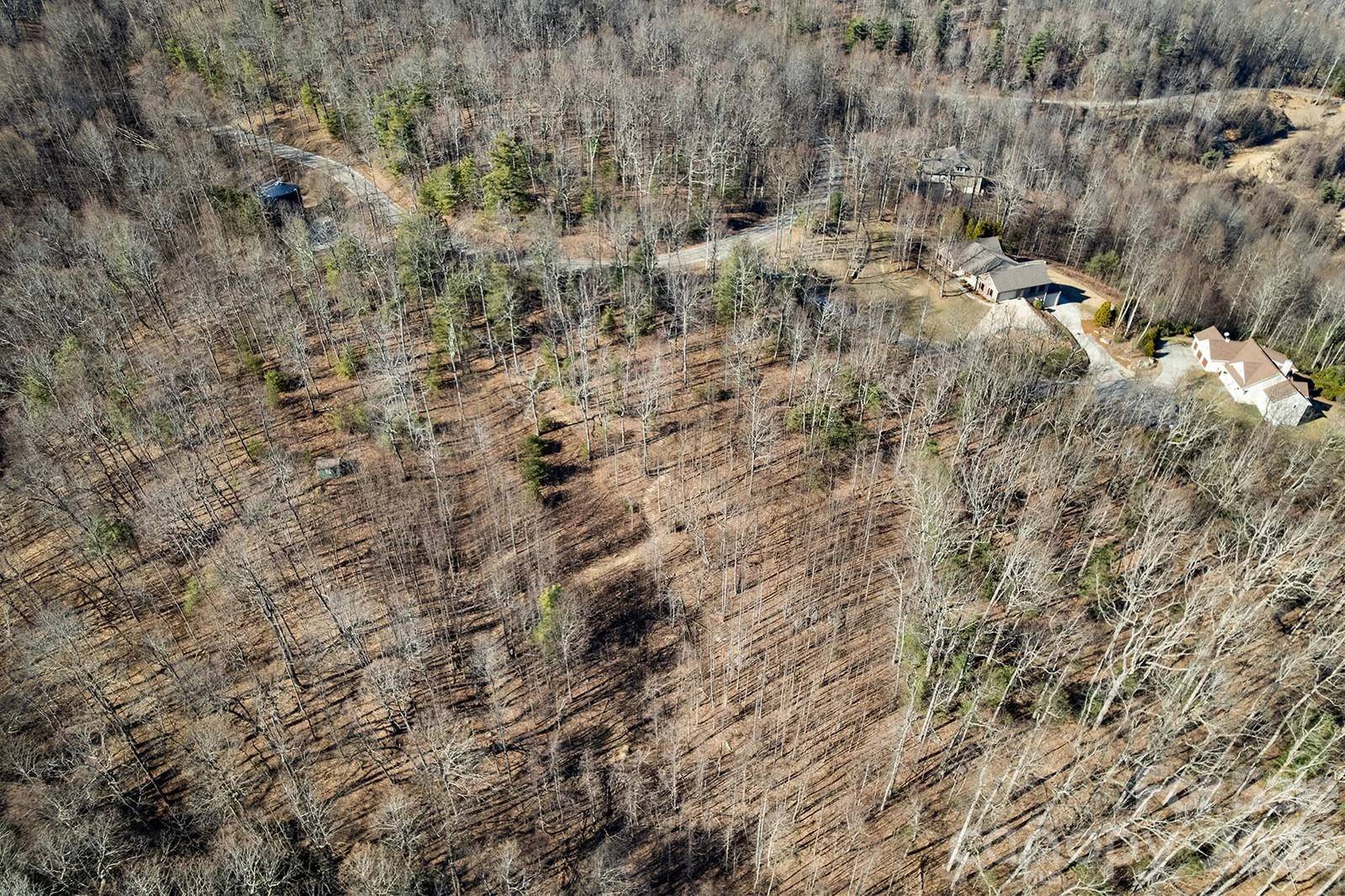 0000 Pinnacle Mountain Road #Lots 1,2,3,4 - Photo 12
