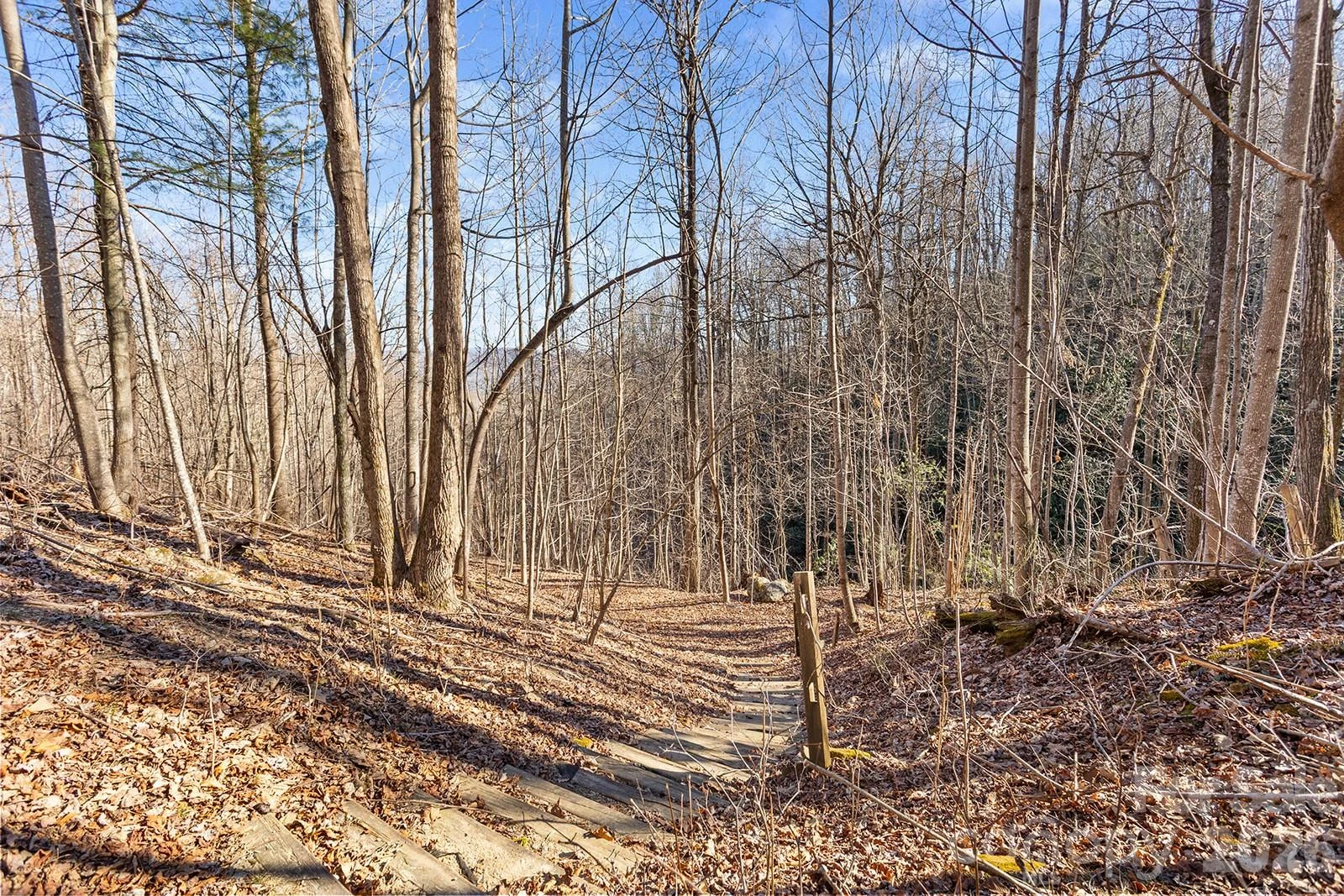0000 Pinnacle Mountain Road #Lots 1,2,3,4 - Photo 19