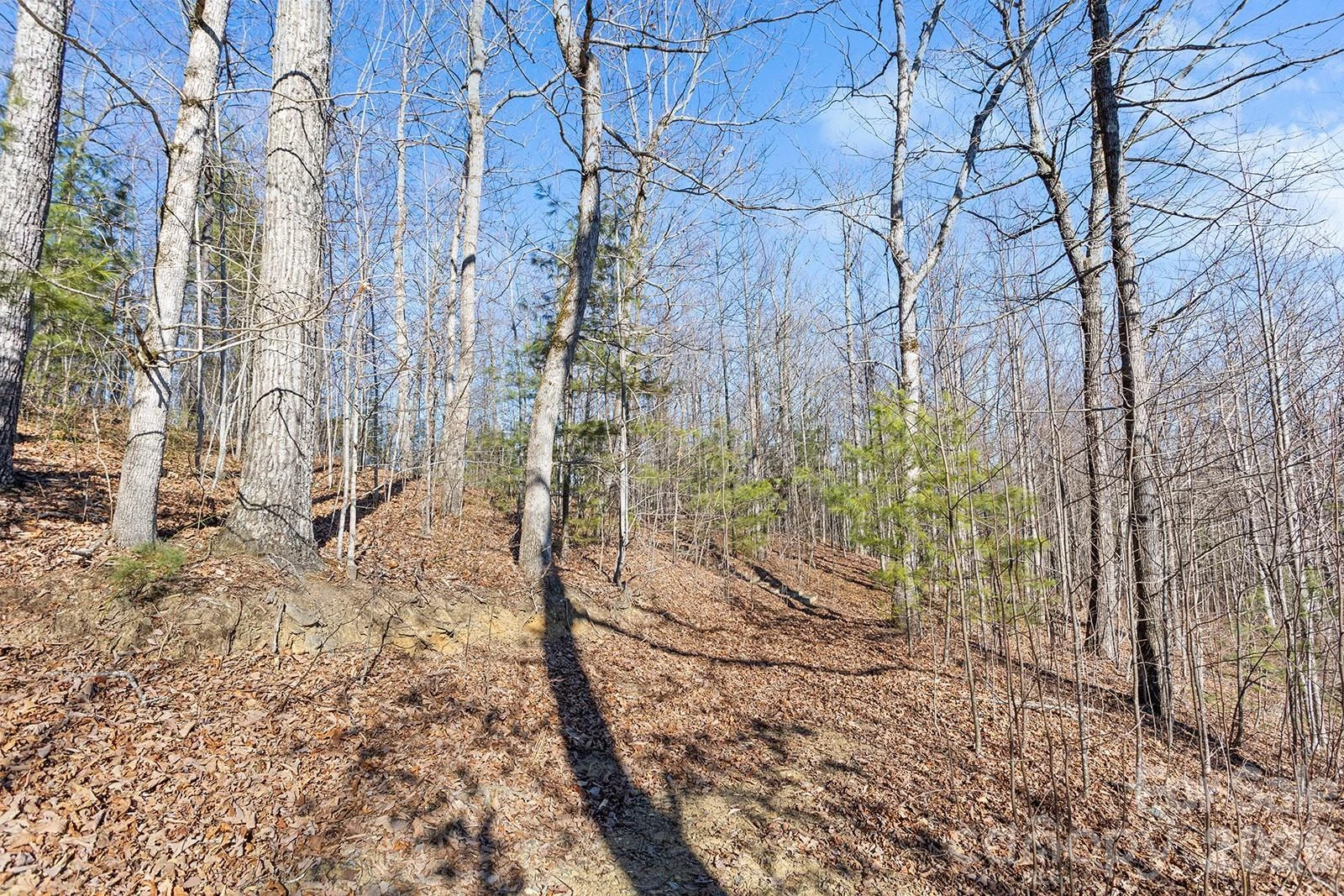 0000 Pinnacle Mountain Road #Lots 1,2,3,4 - Photo 22