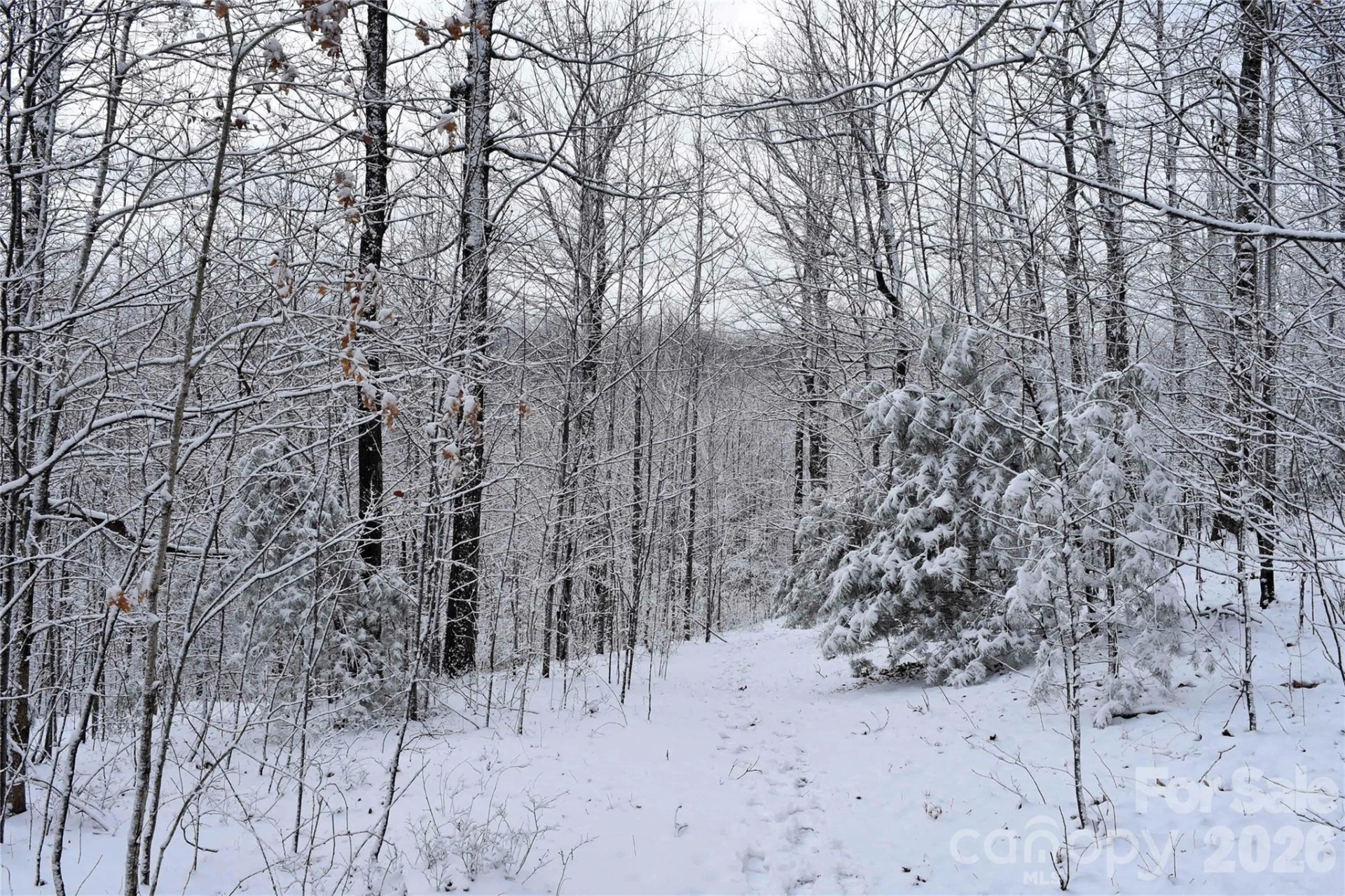 0000 Pinnacle Mountain Road #Lots 1,2,3,4 - Photo 4