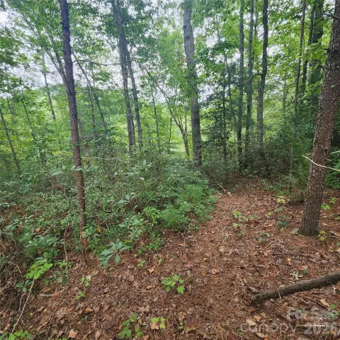 Lot 11 Waterside Drive