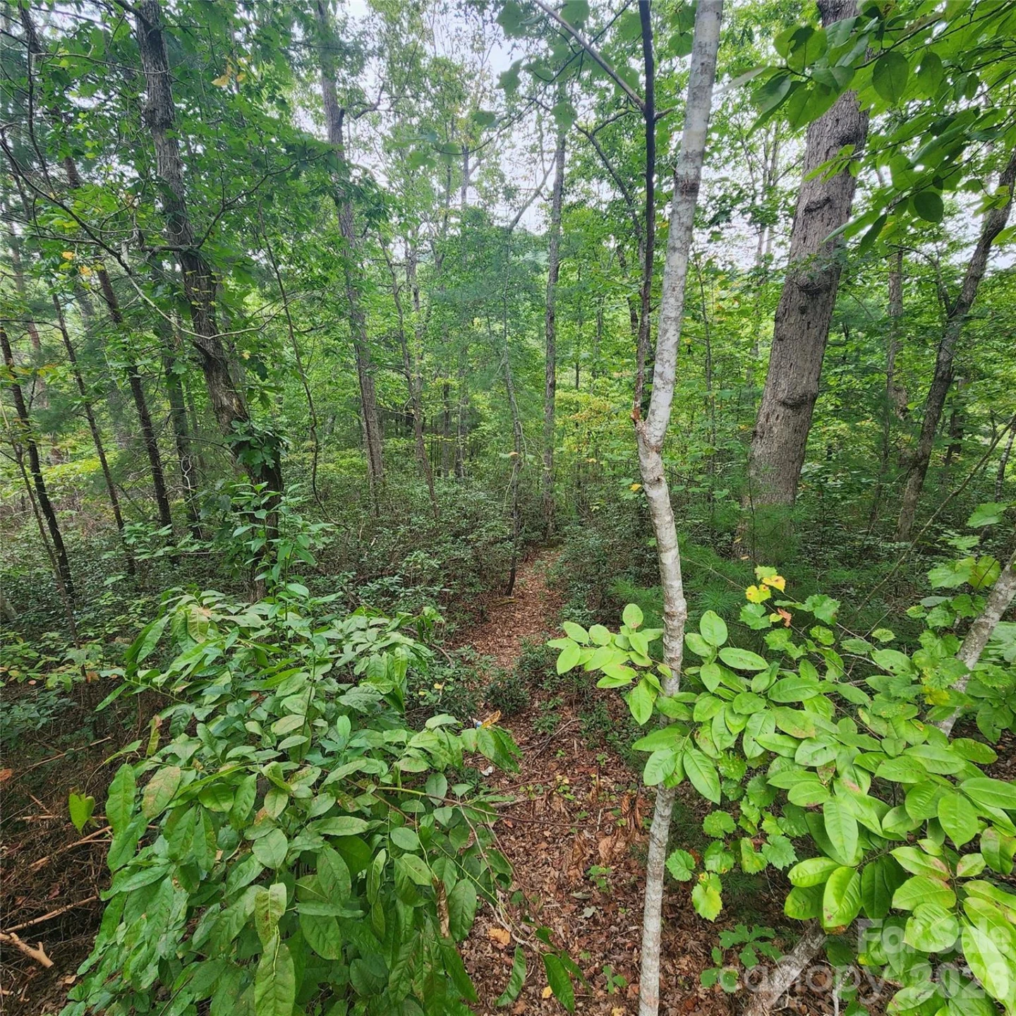Lot 11 Waterside Drive - Photo 2