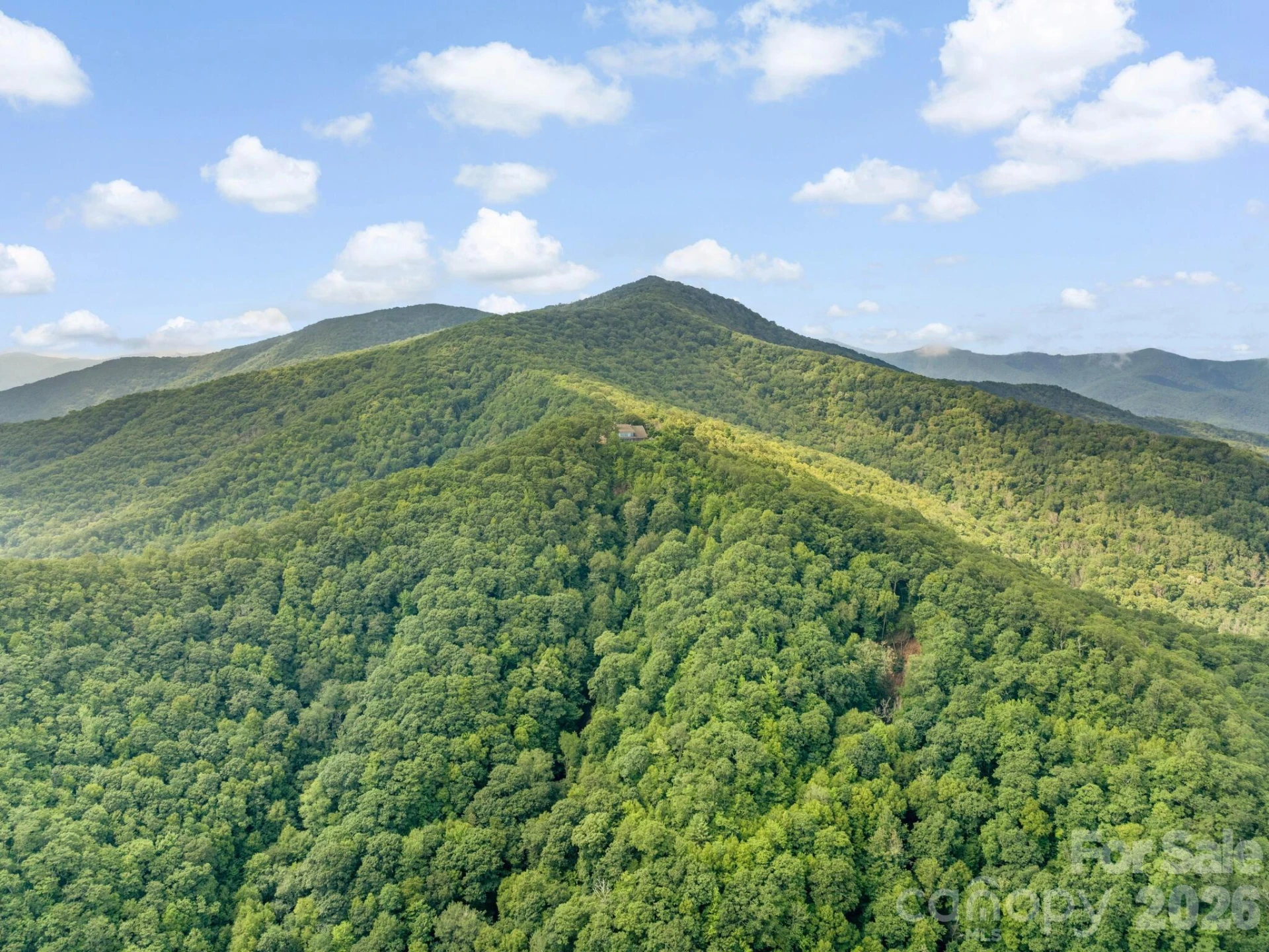 2200 Camp Branch Road - Photo 11