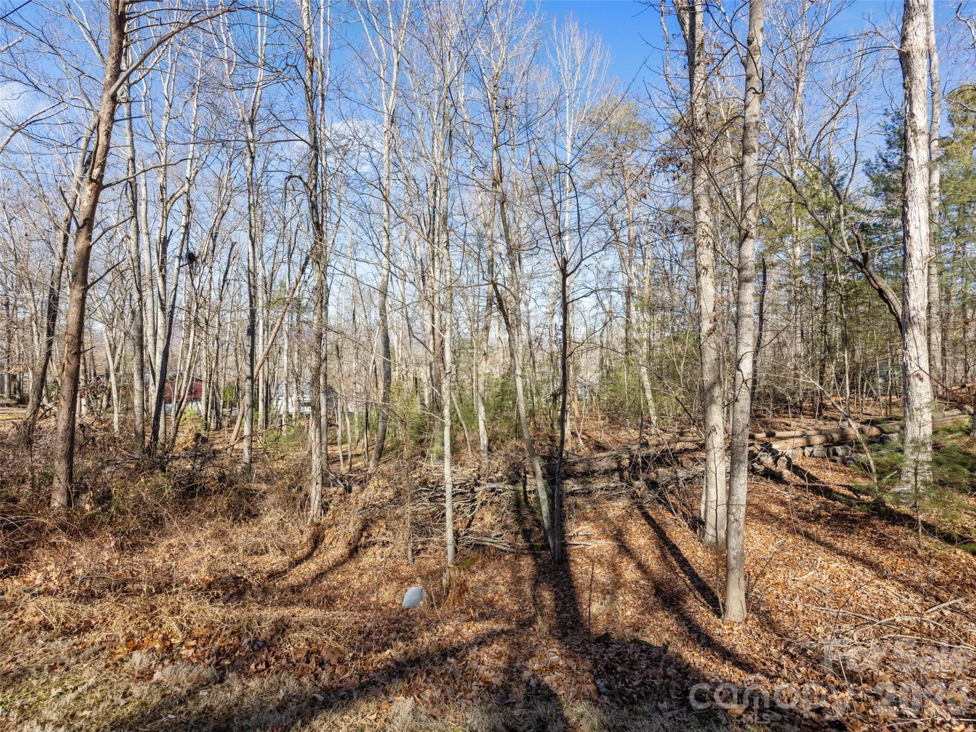 Lot 7 Mountain Heritage Place - Photo 3