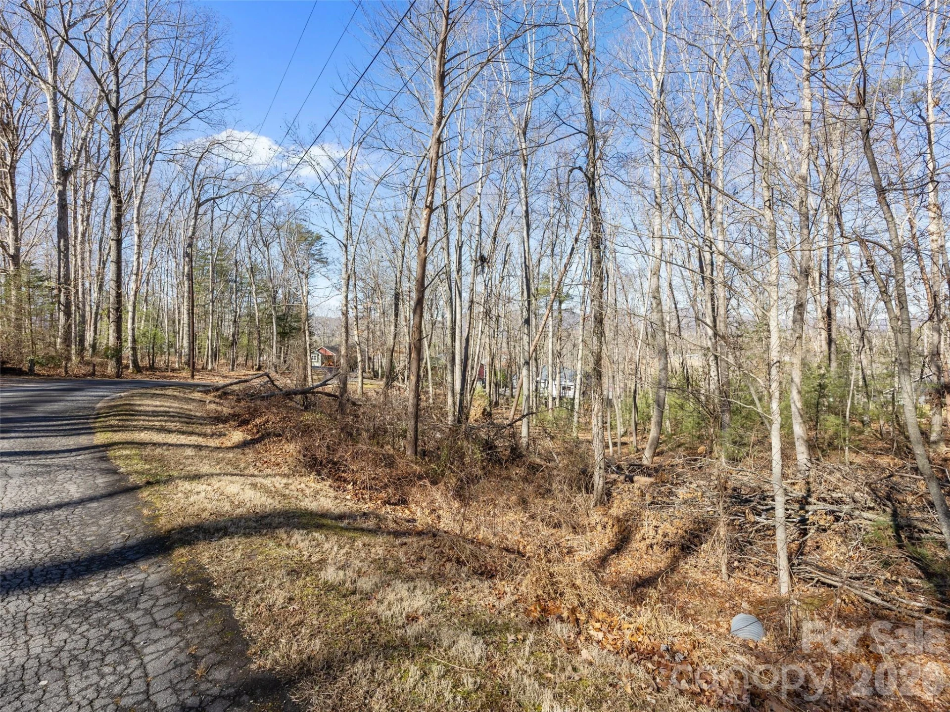 Lot 7 Mountain Heritage Place - Photo 4