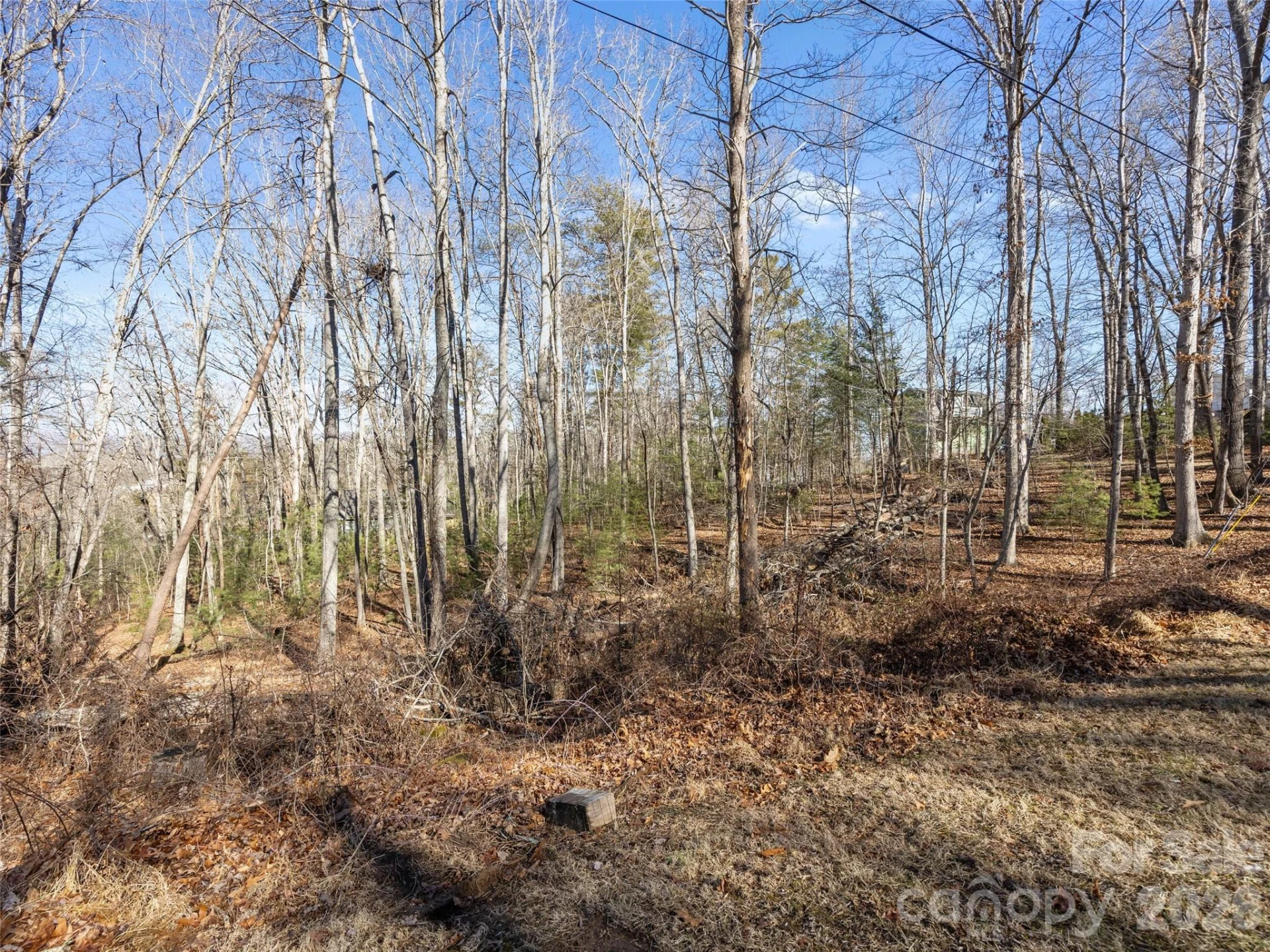 Lot 7 Mountain Heritage Place - Photo 7
