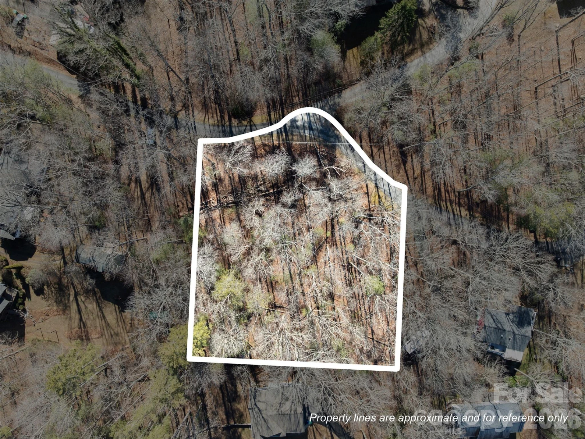 Lot 7 Mountain Heritage Place - Photo 9