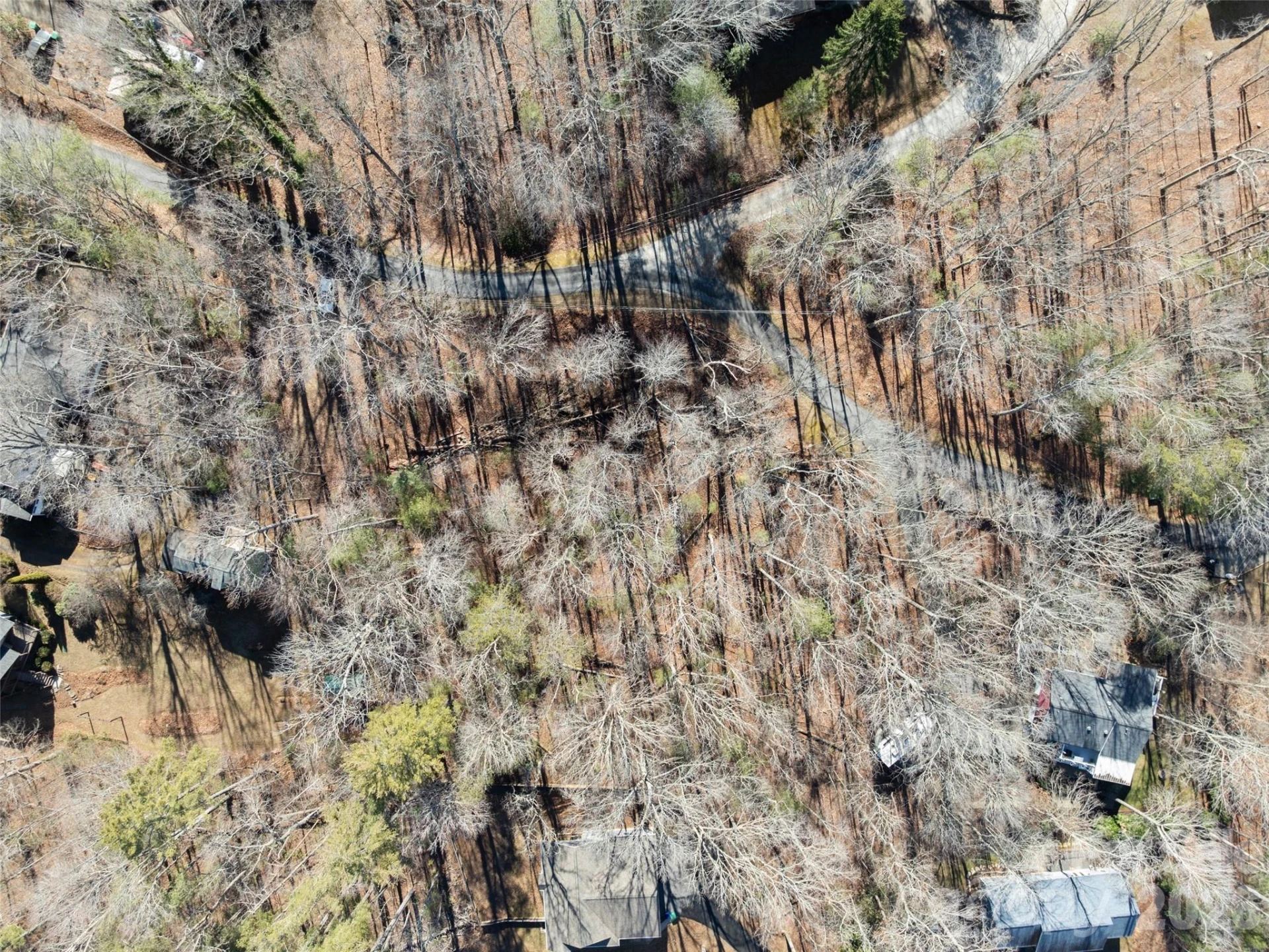 Lot 7 Mountain Heritage Place - Photo 11