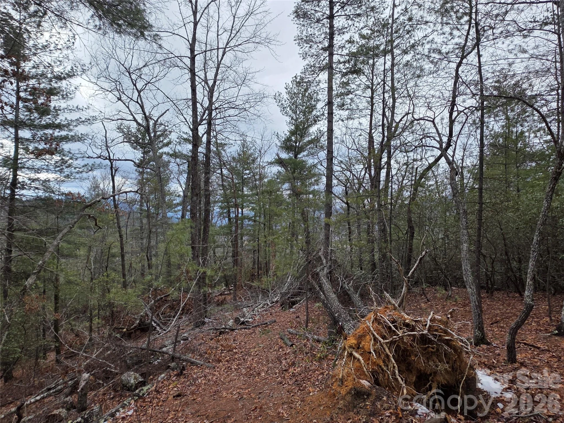 Lot 24A-28A Quail Drive - Photo 8