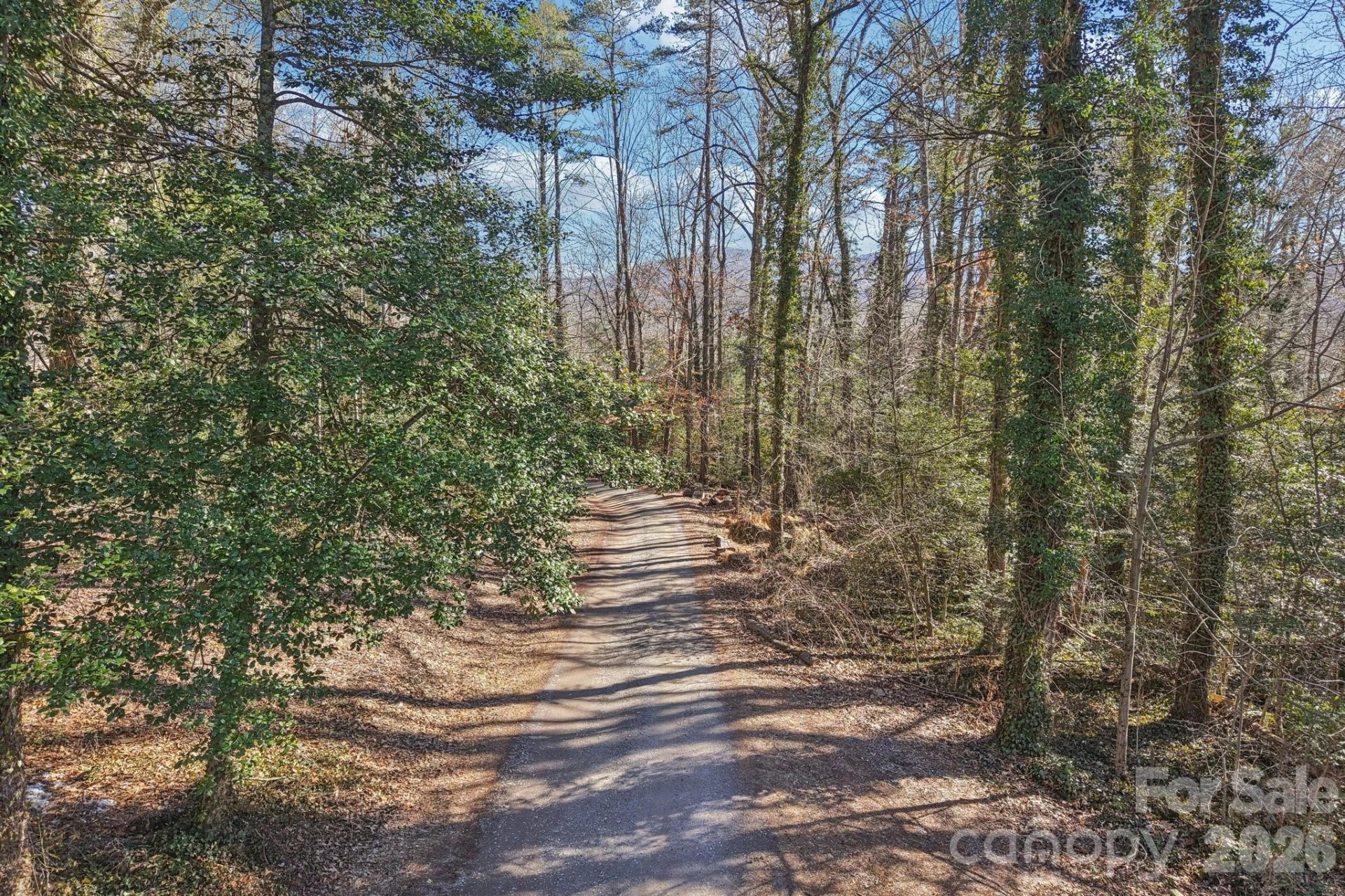 71,73,75 Forest Drive - Photo 33