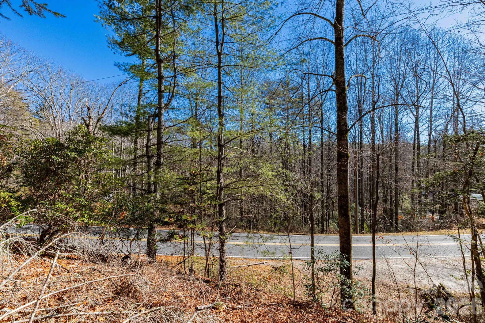 999 Flat Creek Valley Road - Photo 5