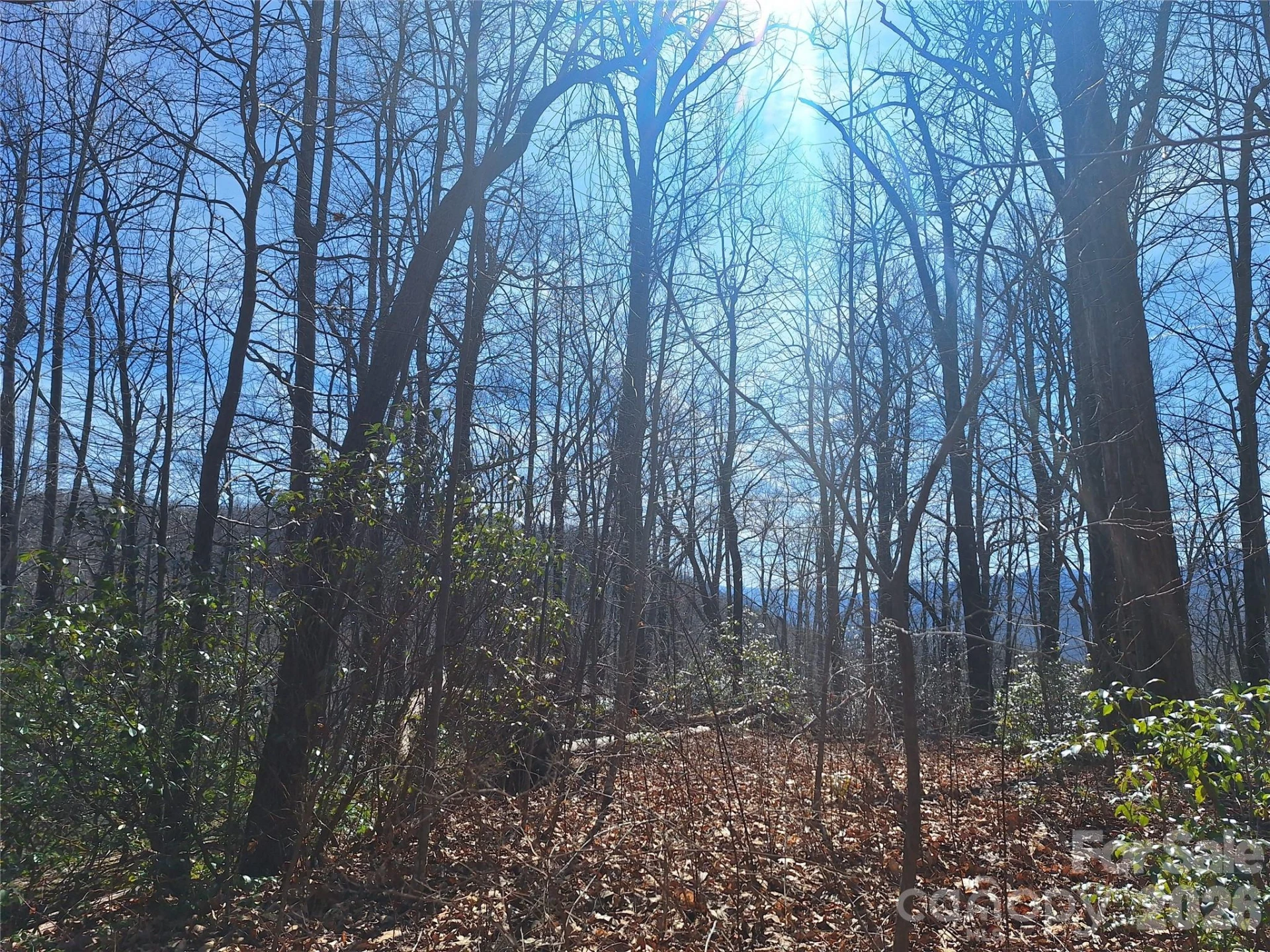 965 Wolf Pen Road - Photo 3