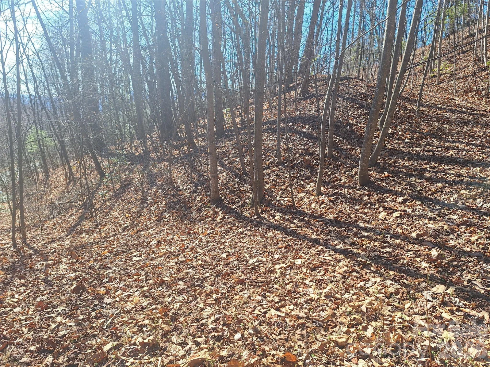 965 Wolf Pen Road - Photo 20