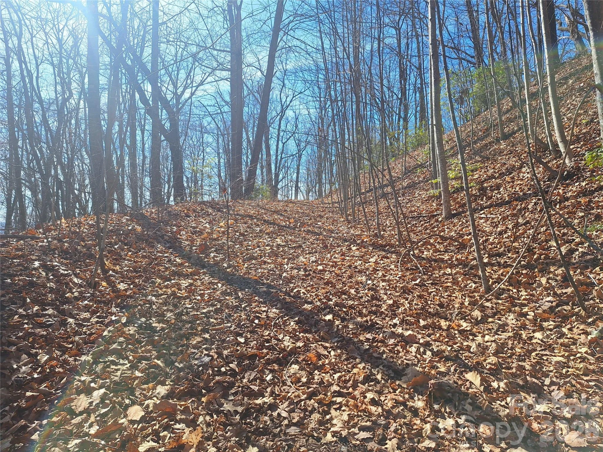 965 Wolf Pen Road - Photo 19