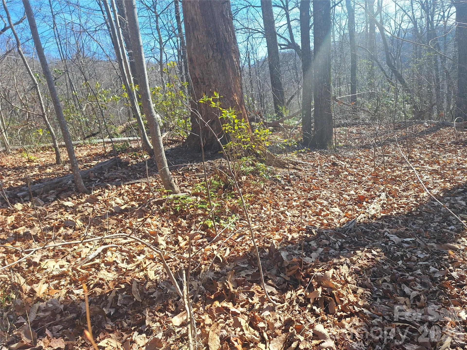 965 Wolf Pen Road - Photo 21